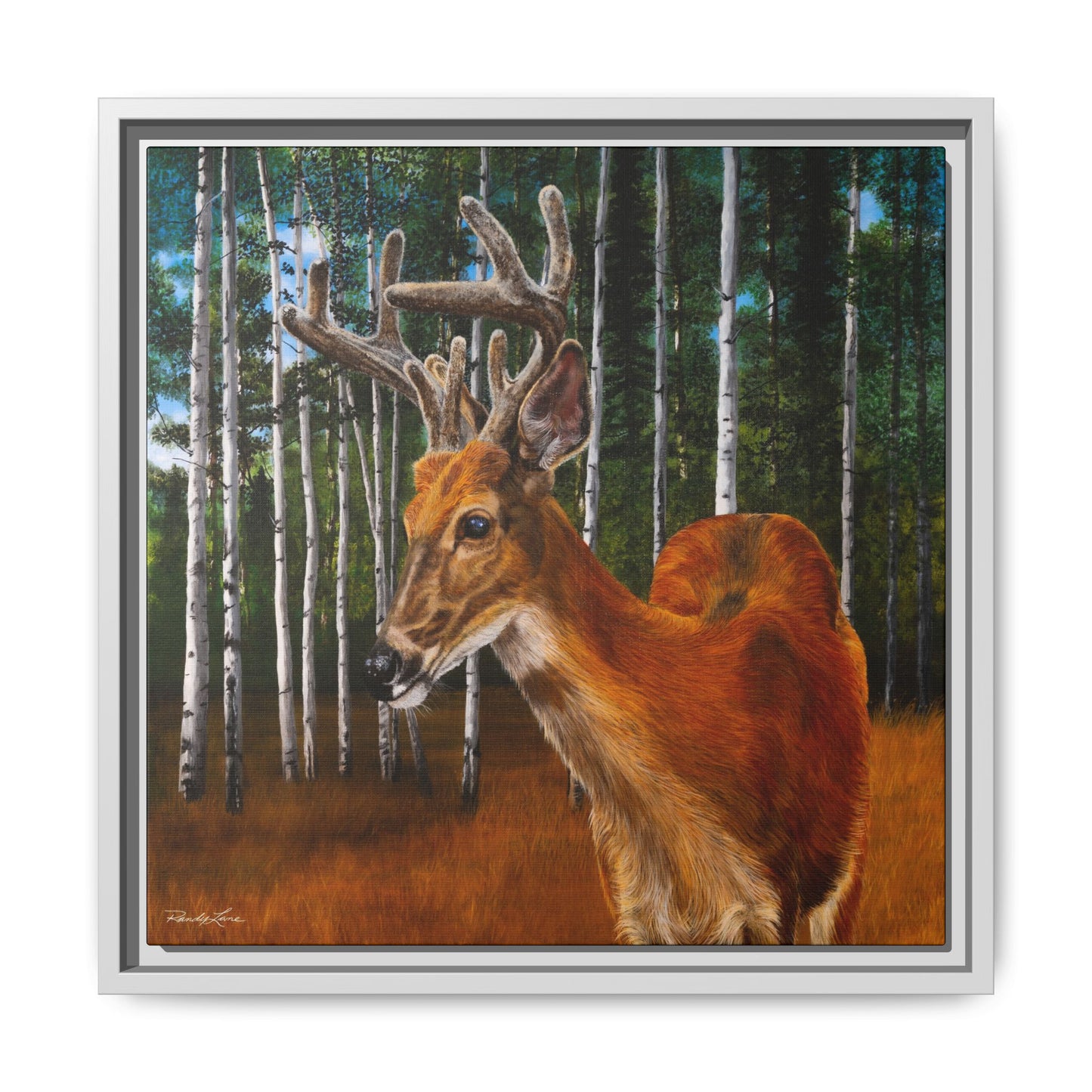 Velvet Crush, Framed Deer Canvas Art