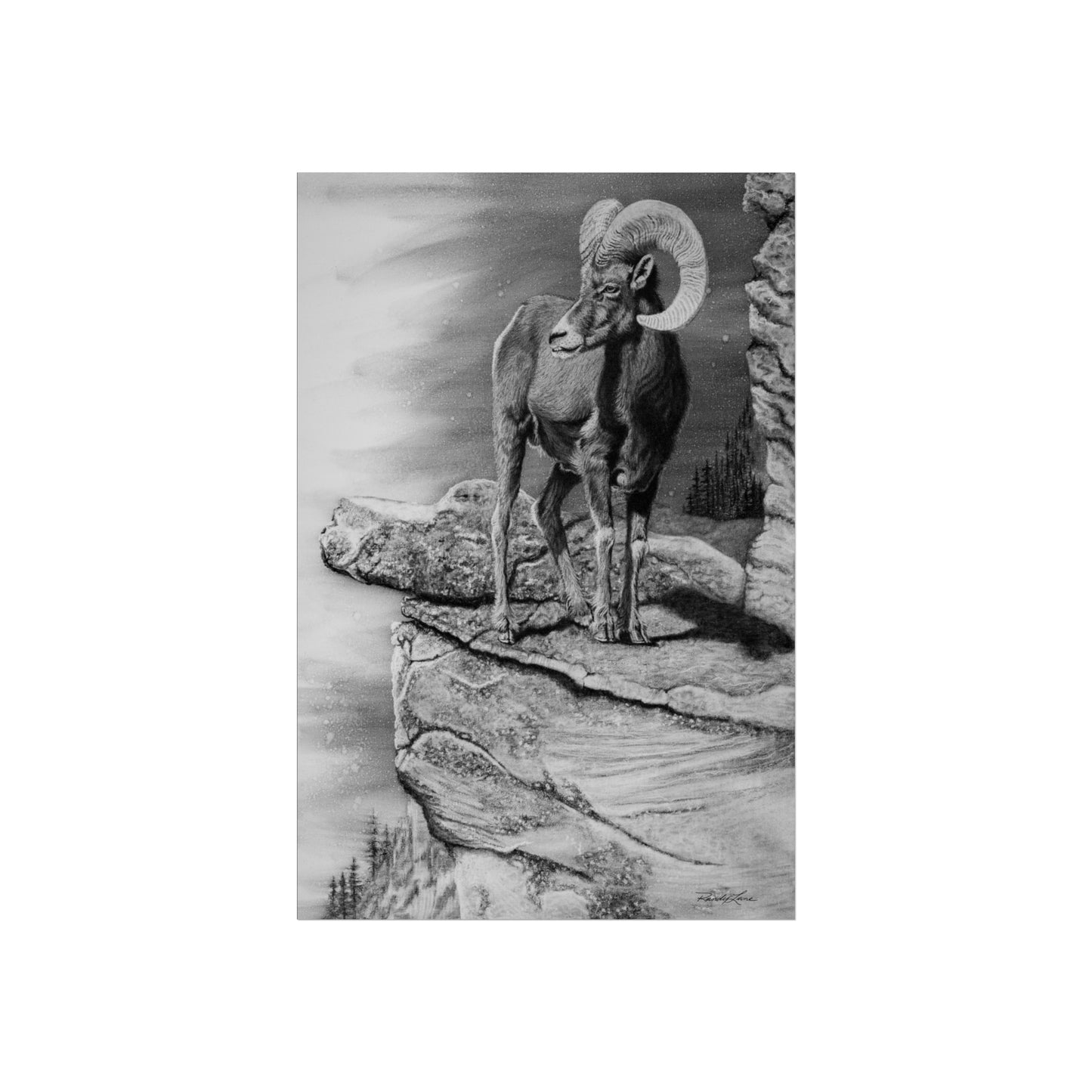 Legendary, Bighorn Sheep Fine Art Print