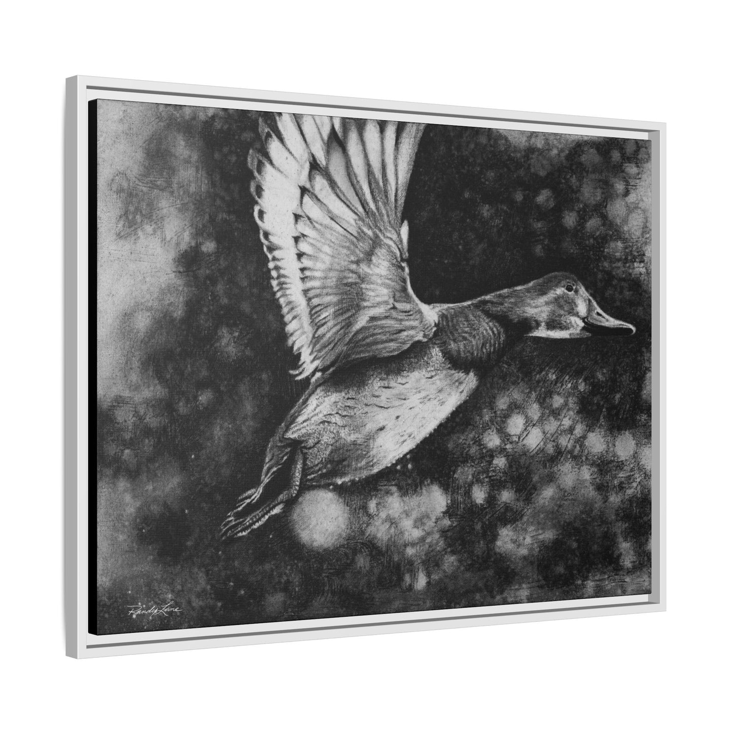 Flare, Framed Duck Canvas Art