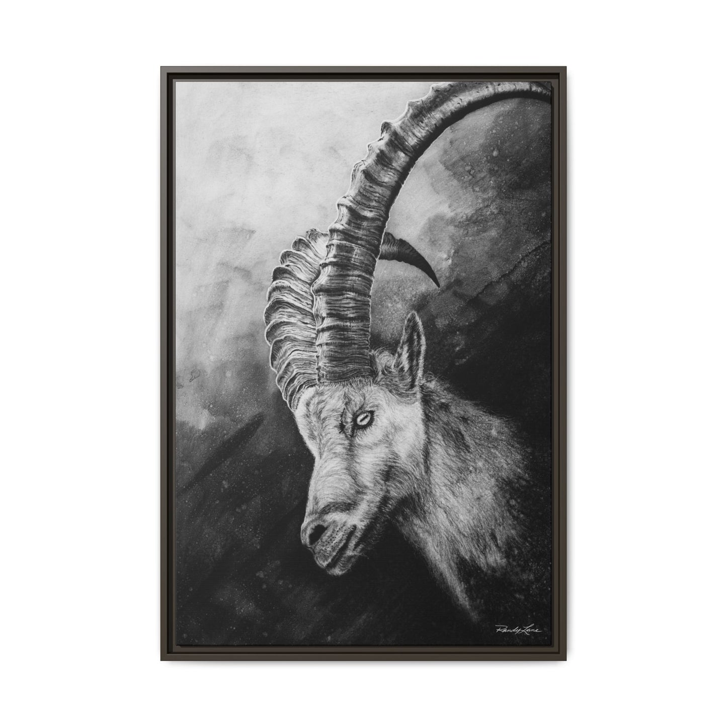 Apex,  Alpine Mountain Goat, Framed Matte Canvas Art Print,