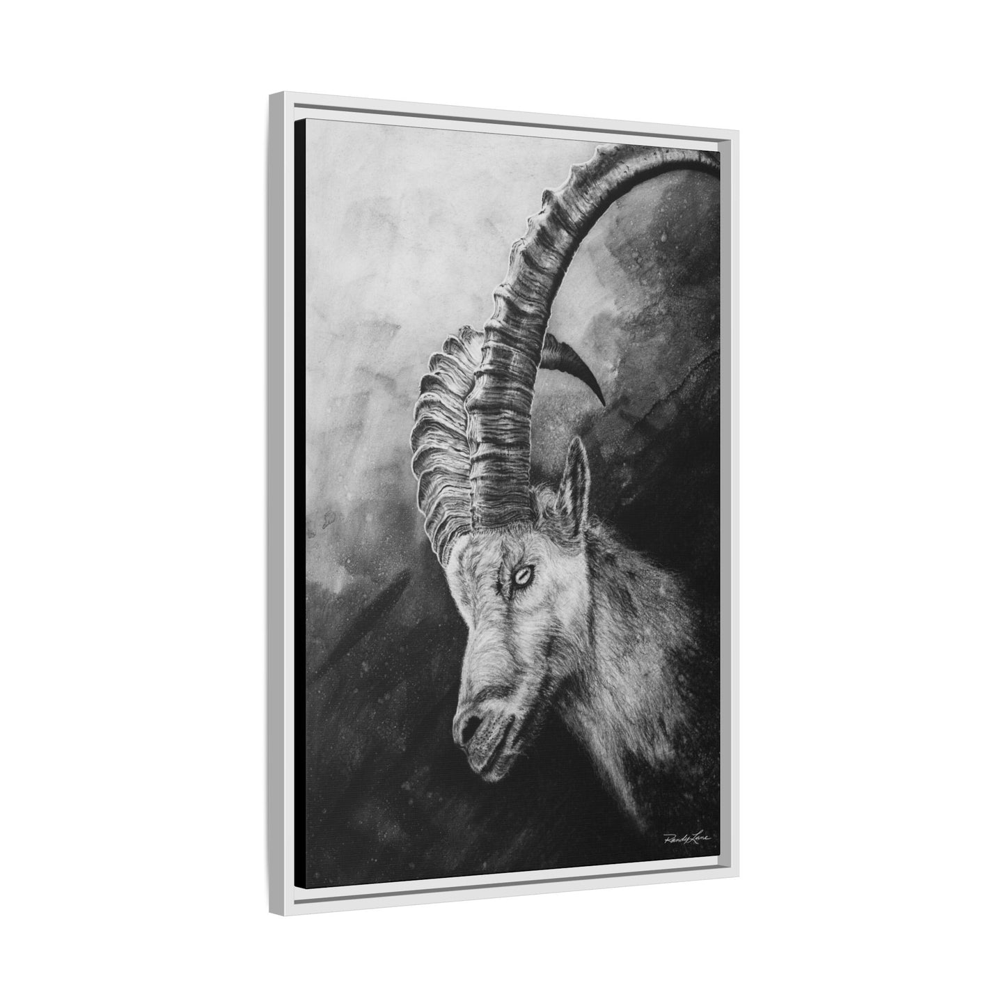 Apex,  Alpine Mountain Goat, Framed Matte Canvas Art Print,