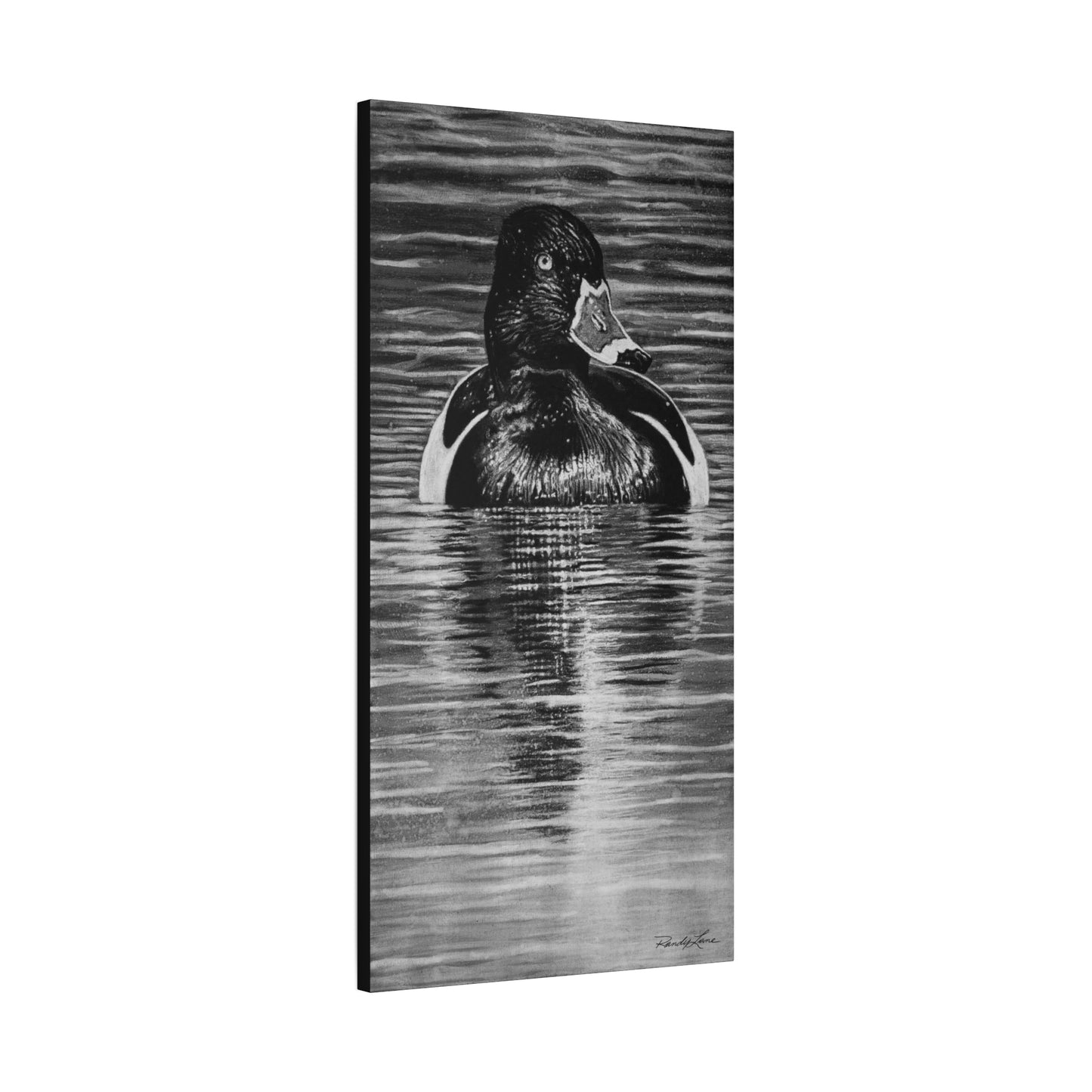 Reflection, Ring necked Duck Painting, Stretched Matte Canvas