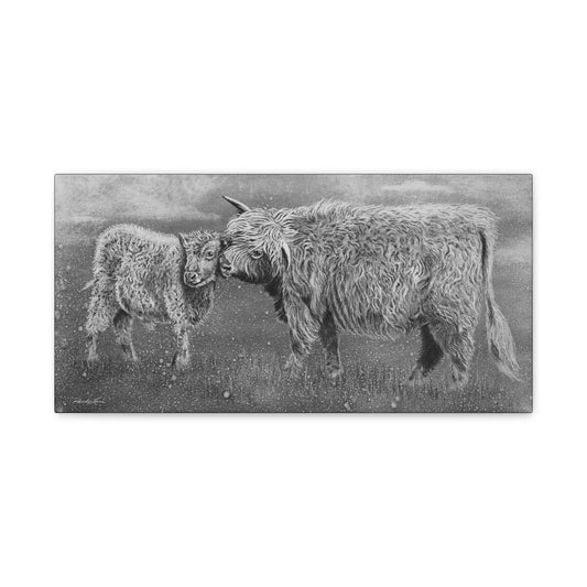 Highland Love, Highland Cattle Canvas Art