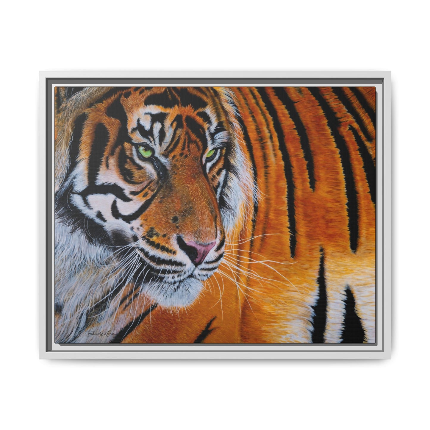 Tiger Stripe, Framed Tiger Canvas Print