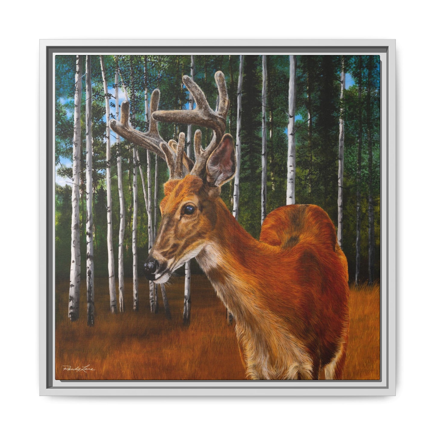 Velvet Crush, Framed Deer Canvas Art