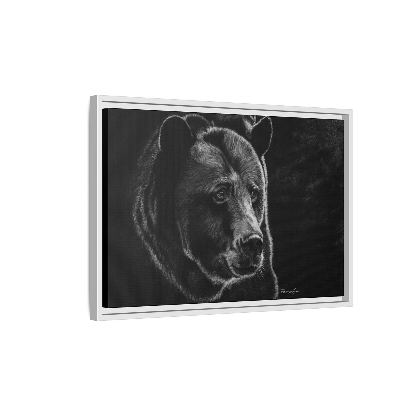 Dominance, Bear Portrait Stretched Framed Matte Canvas Print