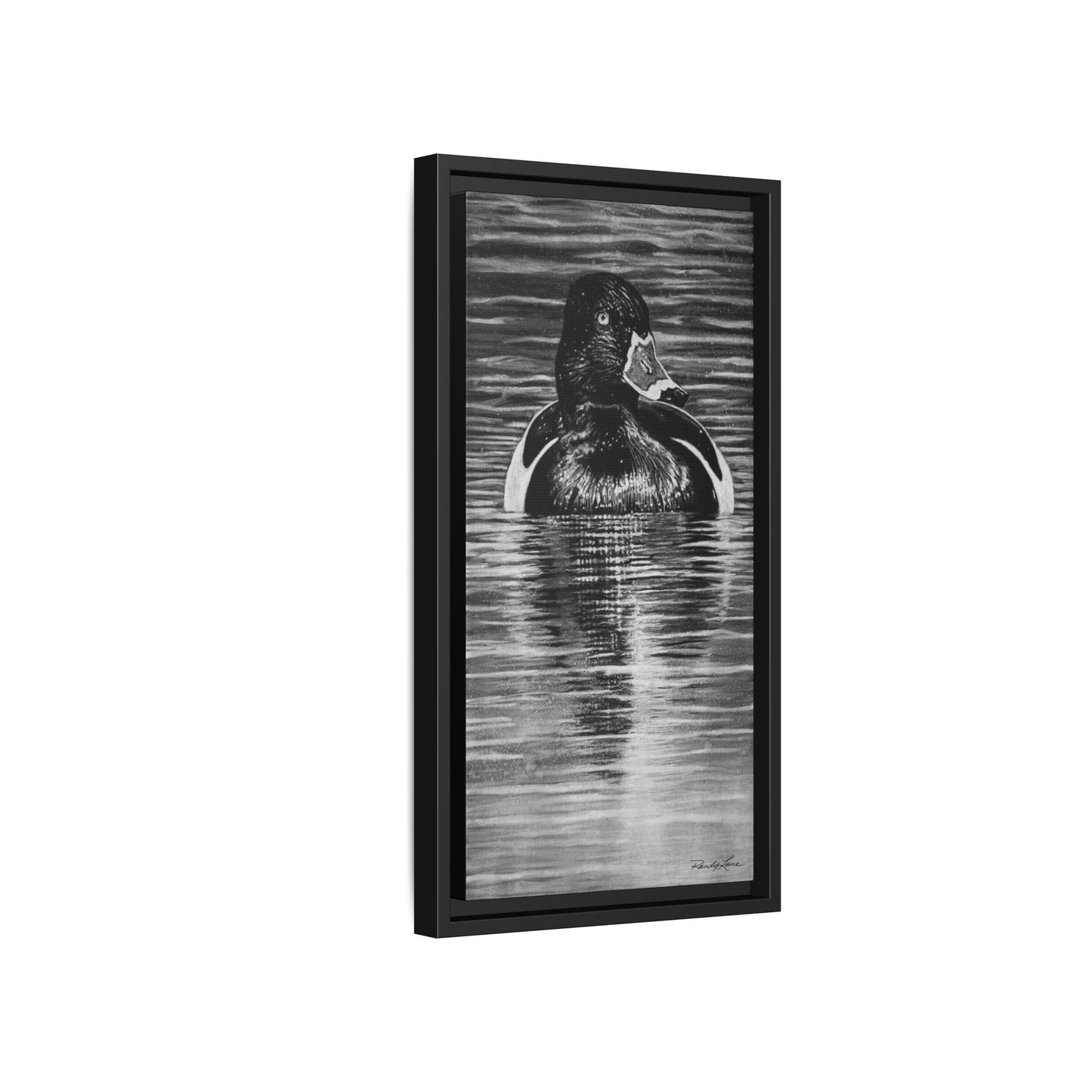 Reflection, Ring necked Duck Painting, Framed Stretched Matte Canvas