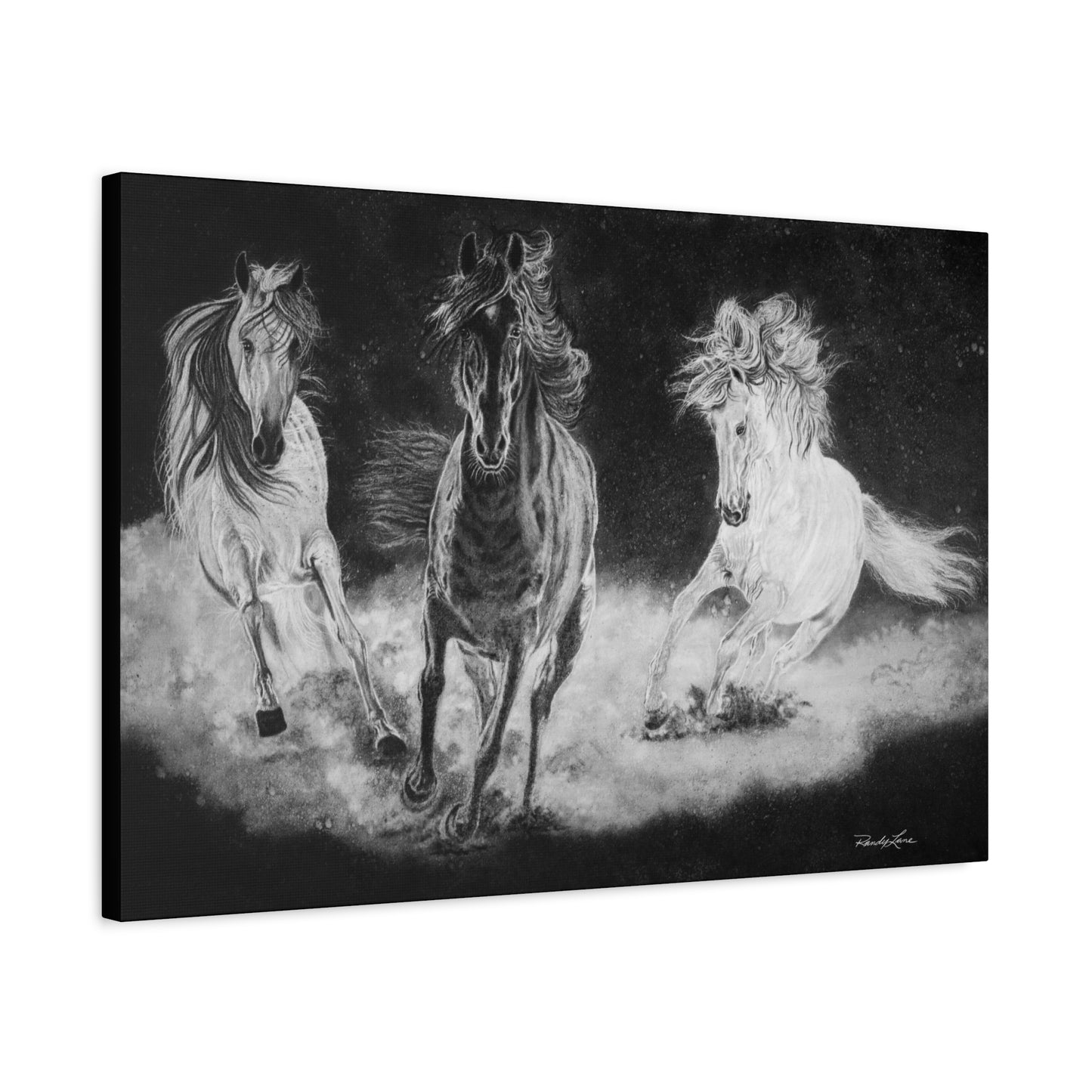 Midnight Run. Stretched Matte Canvas Fine Art Horse Prints