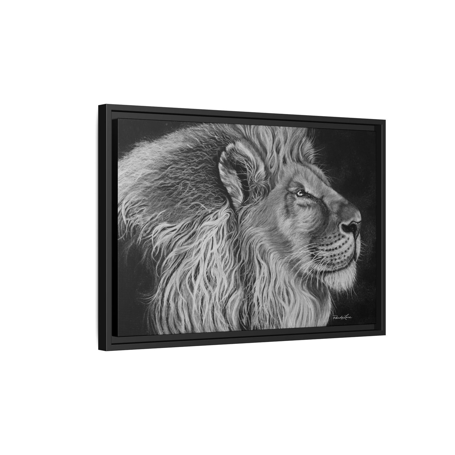 King of Cool, Majestic Lion Framed Canvas Art