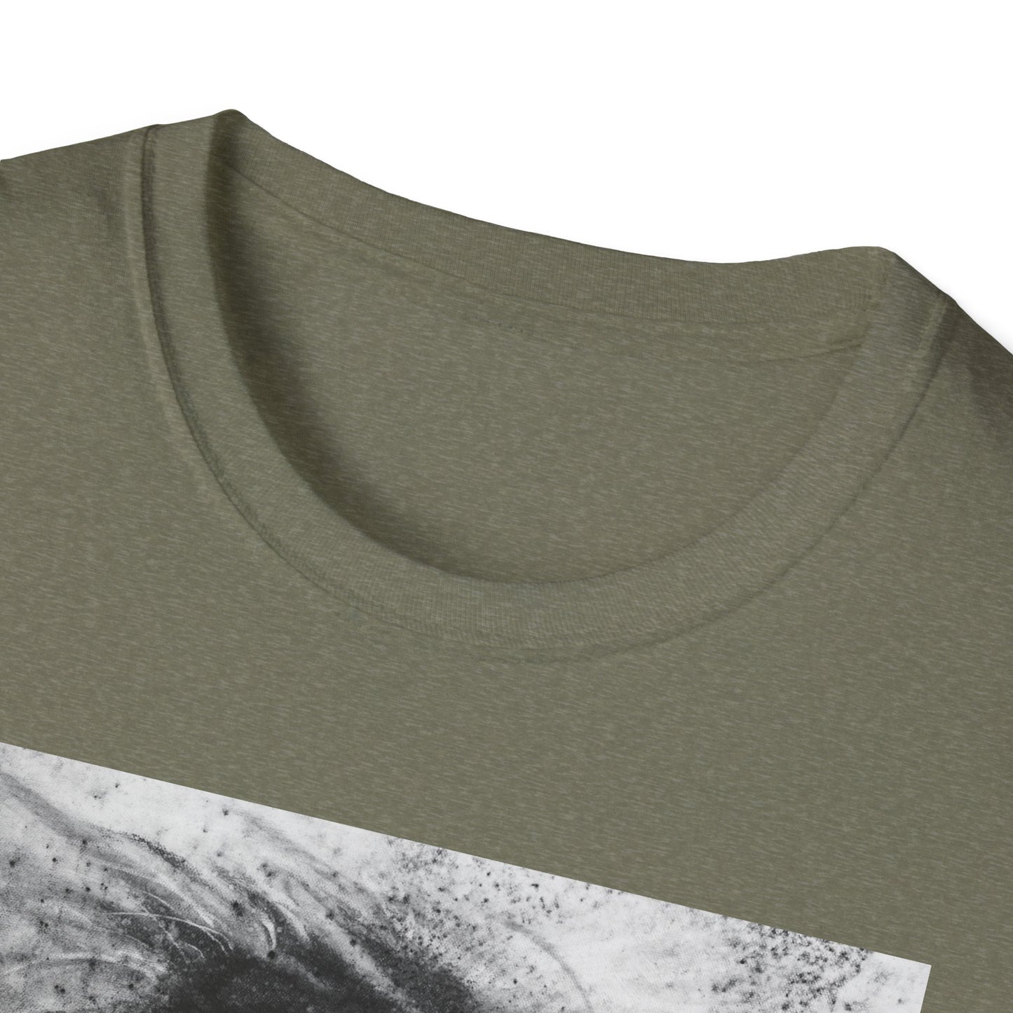 Let the Lion Roar, Lion Graphic Tee, Unisex T-Shirt