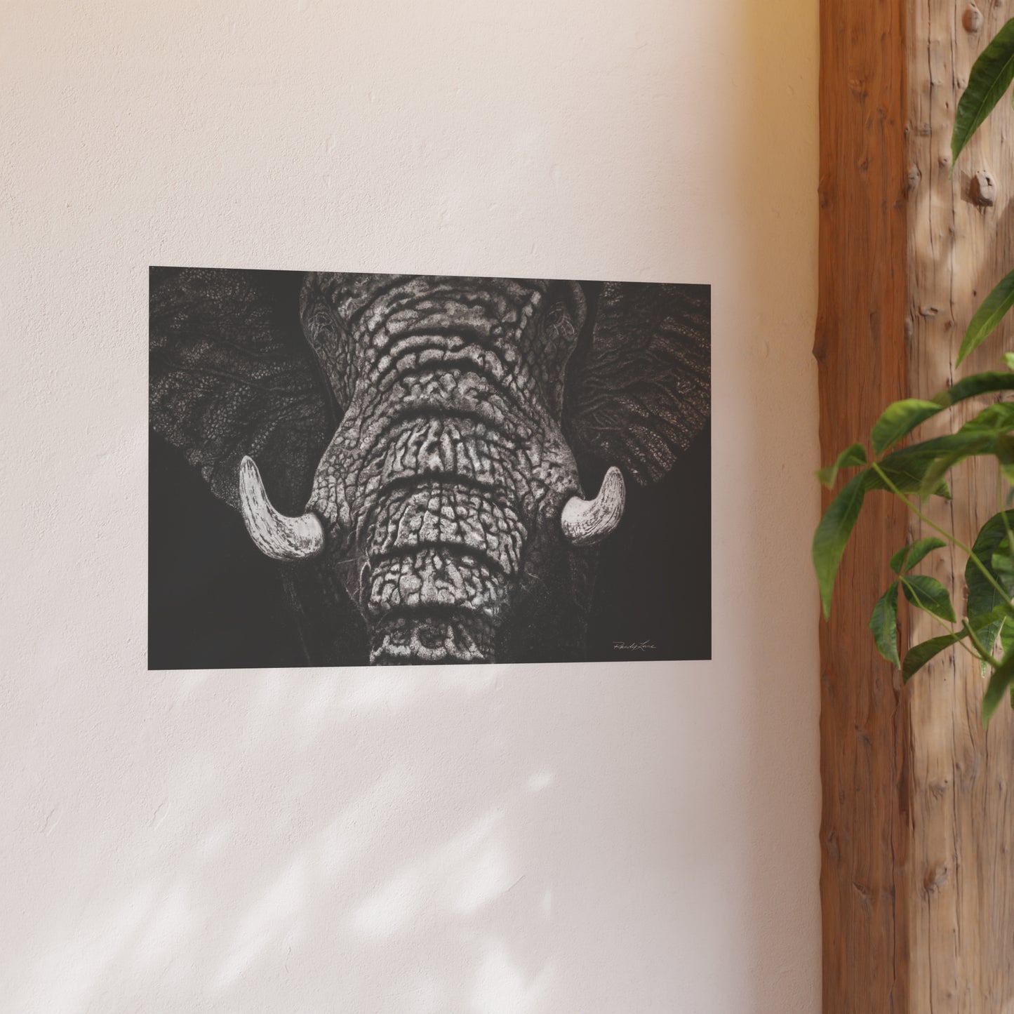 Ebony and Ivory, Elephant Portrait Fine Art Print (Satin/Archival Matte)