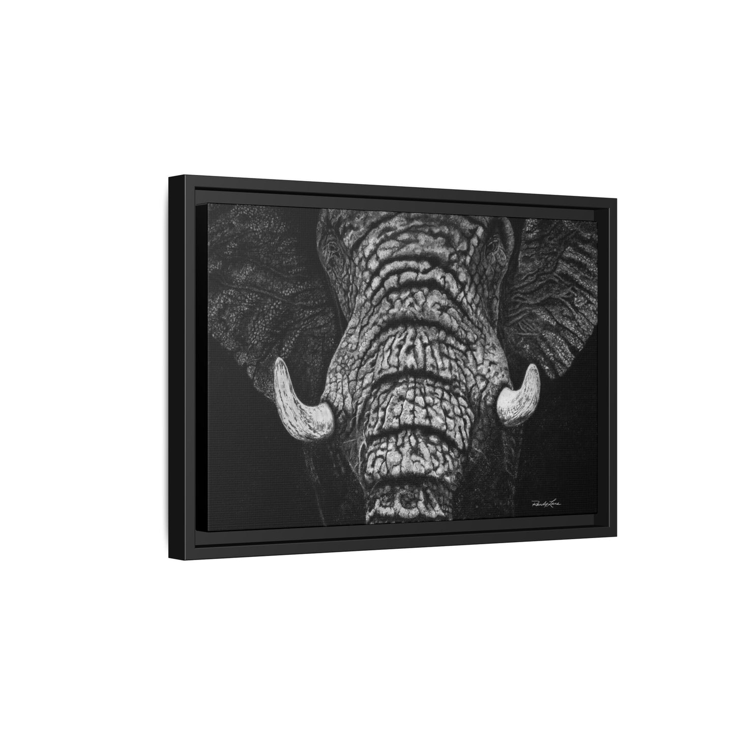 Ebony and Ivory, Elephant Portrait Framed Canvas Wall Art