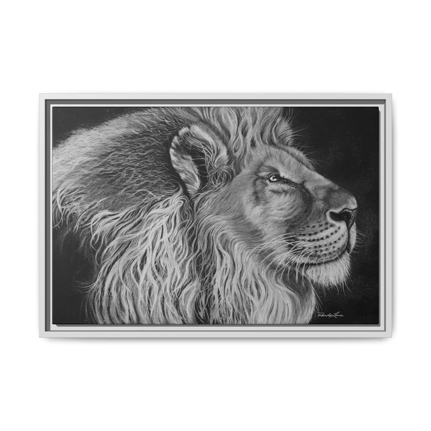 King of Cool, Majestic Lion Framed Canvas Art