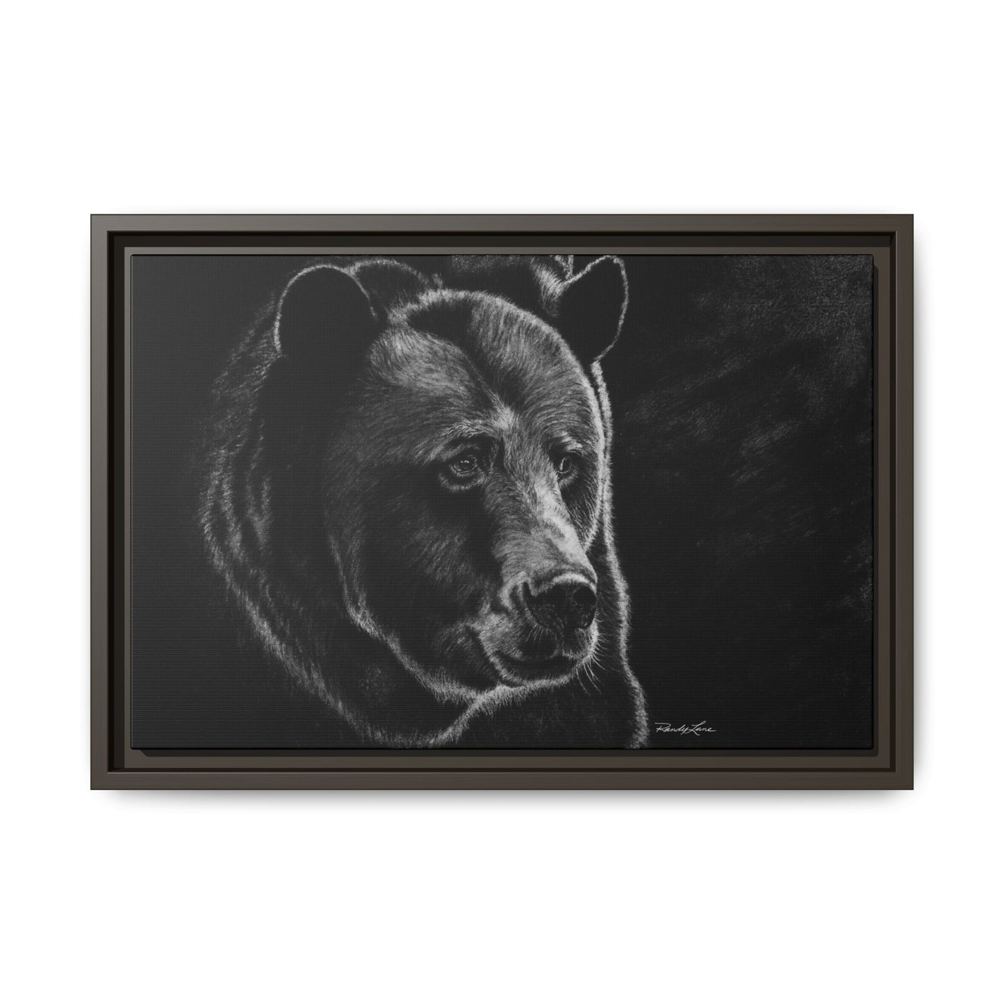 Dominance, Bear Portrait Stretched Framed Matte Canvas Print