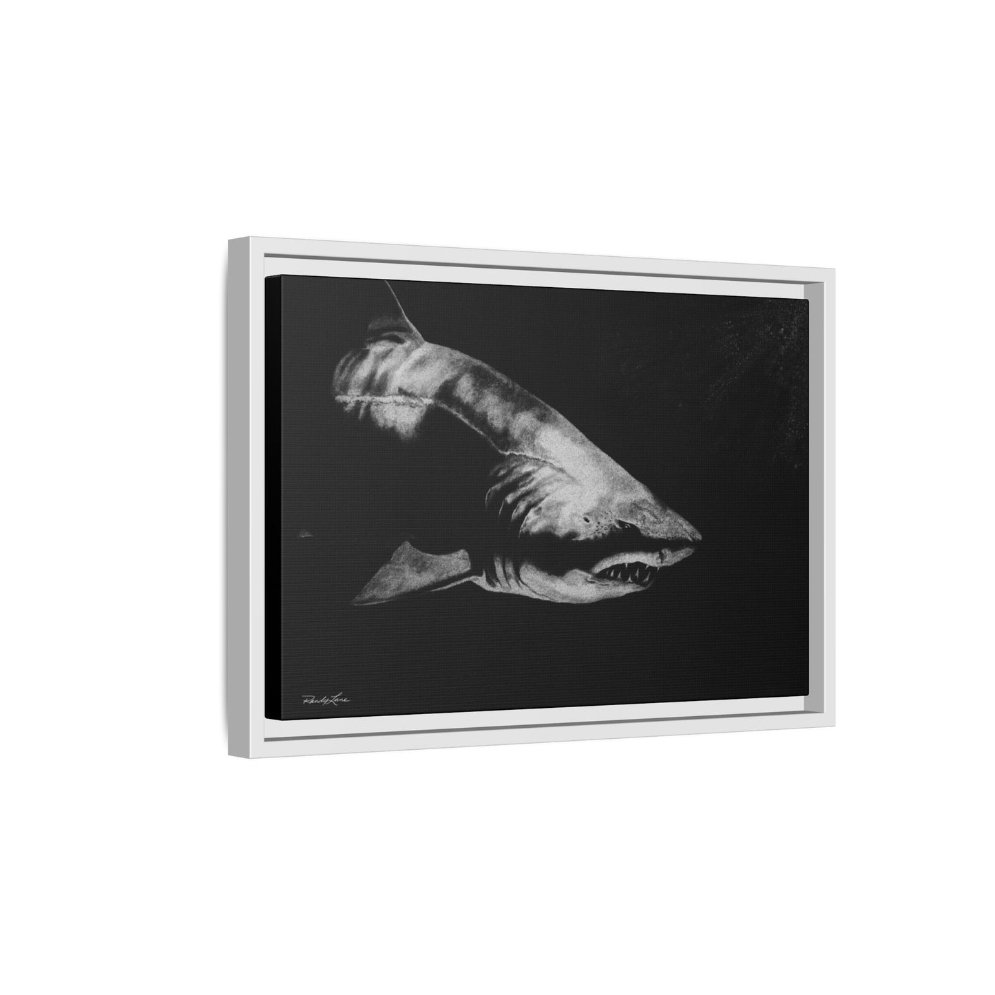 Below, Framed Shark Fine Art Print, Matte Canvas Wall Decor