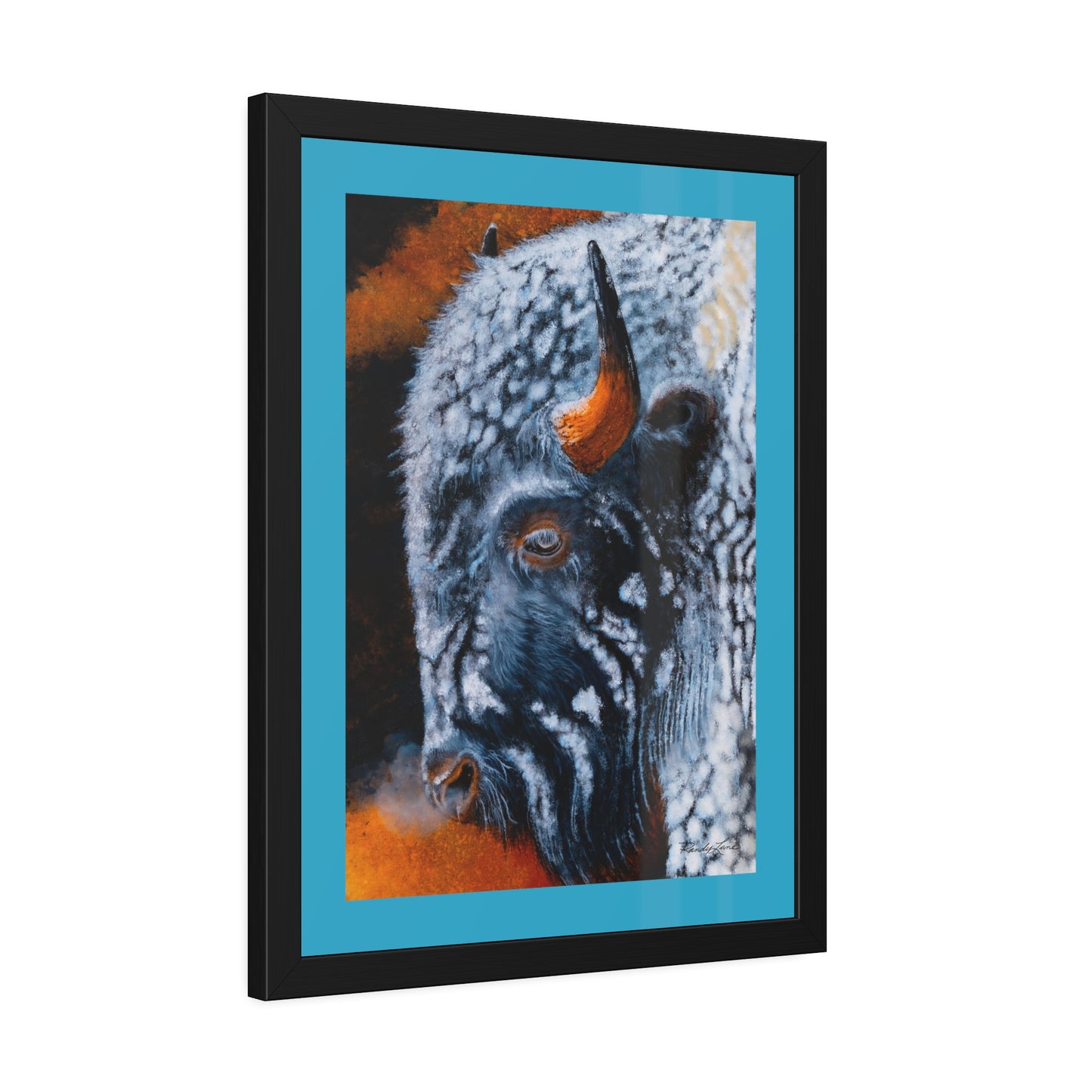 Storm Bison, Framed Fine Art Prints