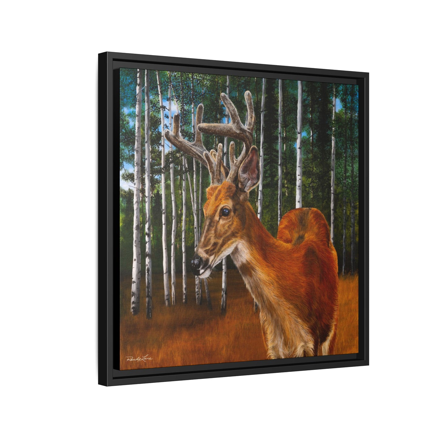 Velvet Crush, Framed Deer Canvas Art