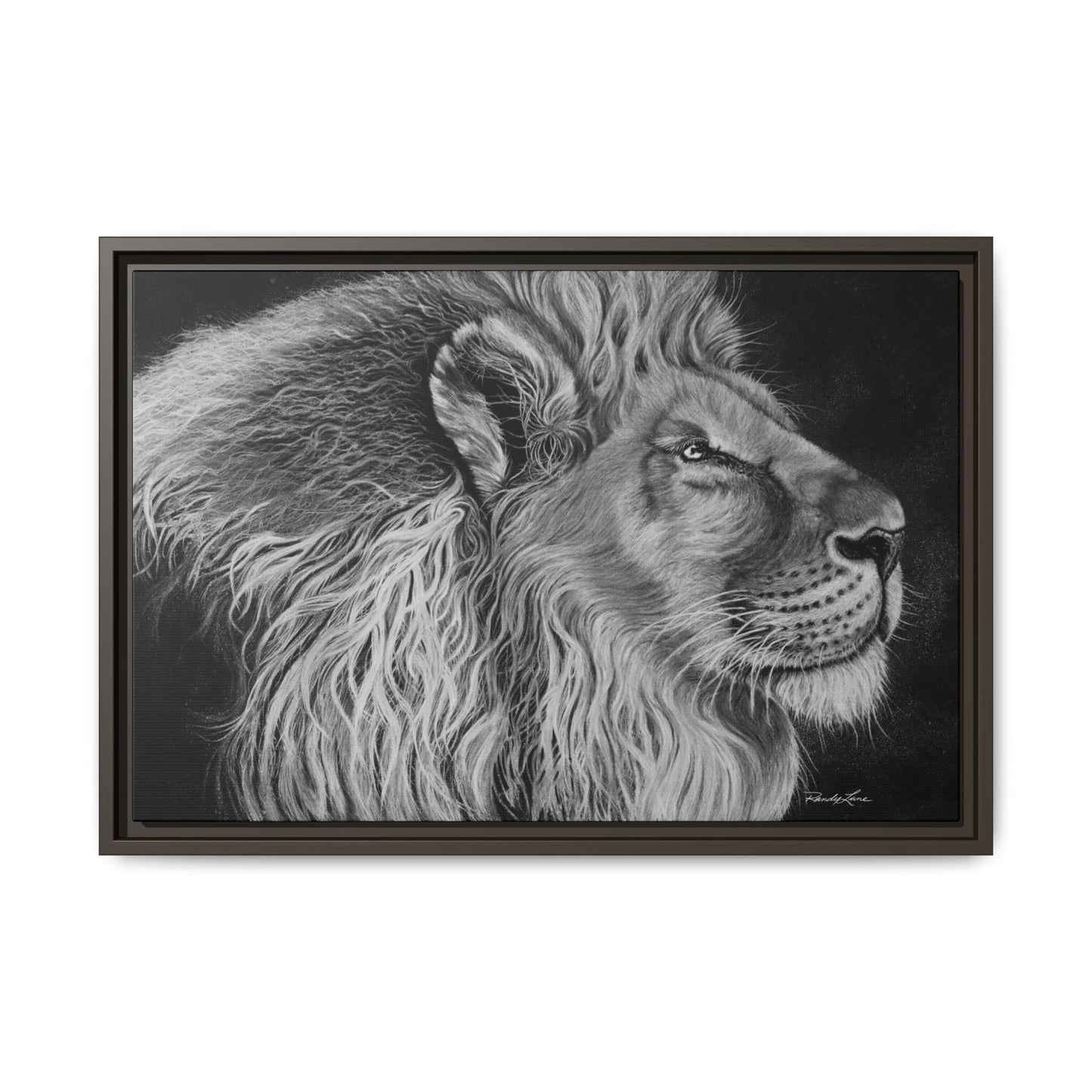 King of Cool, Majestic Lion Framed Canvas Art