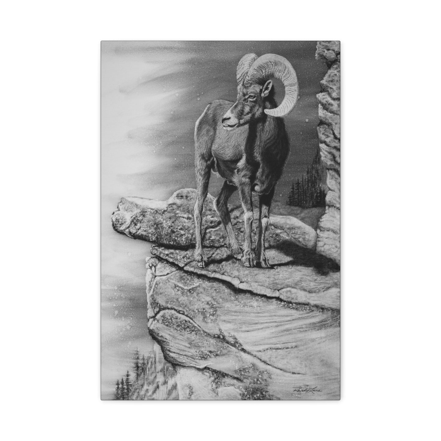 Legendary, Bighorn Sheep Stretched Canvas Wall Art