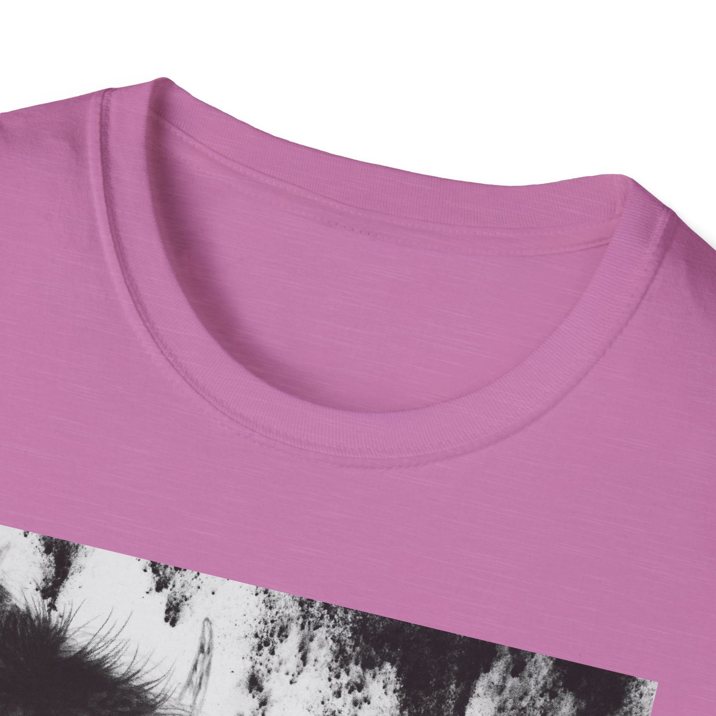Pride, Bison Graphic Tee, Unisex Softstyle T-Shirt
