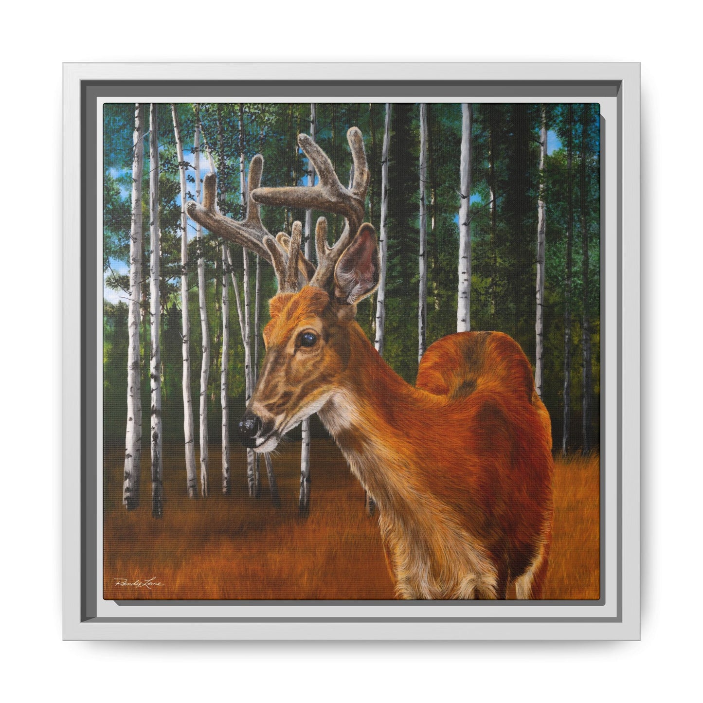 Velvet Crush, Framed Deer Canvas Art