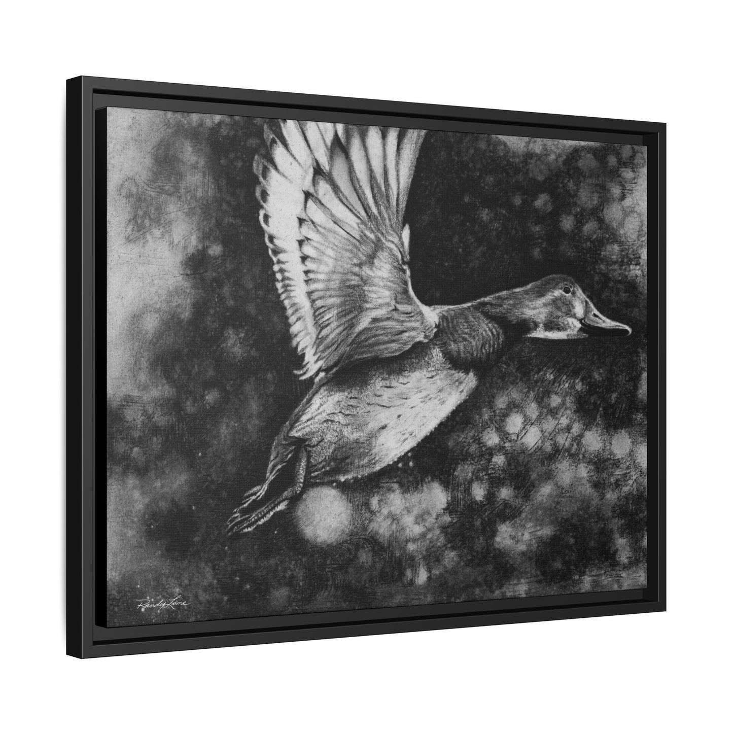 Flare, Framed Duck Canvas Art