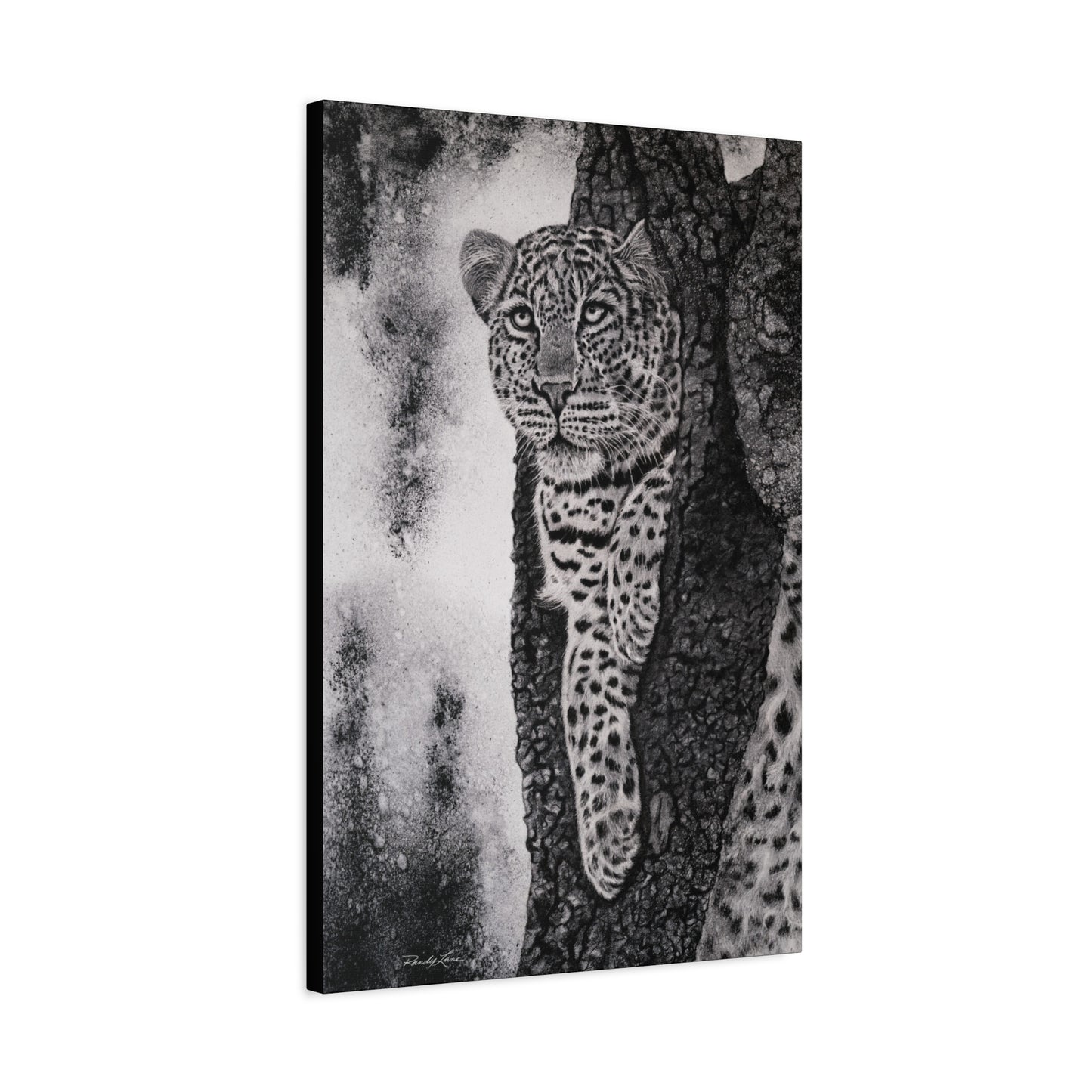 Tree Hugger, Leopard Wall Art Canvas Print