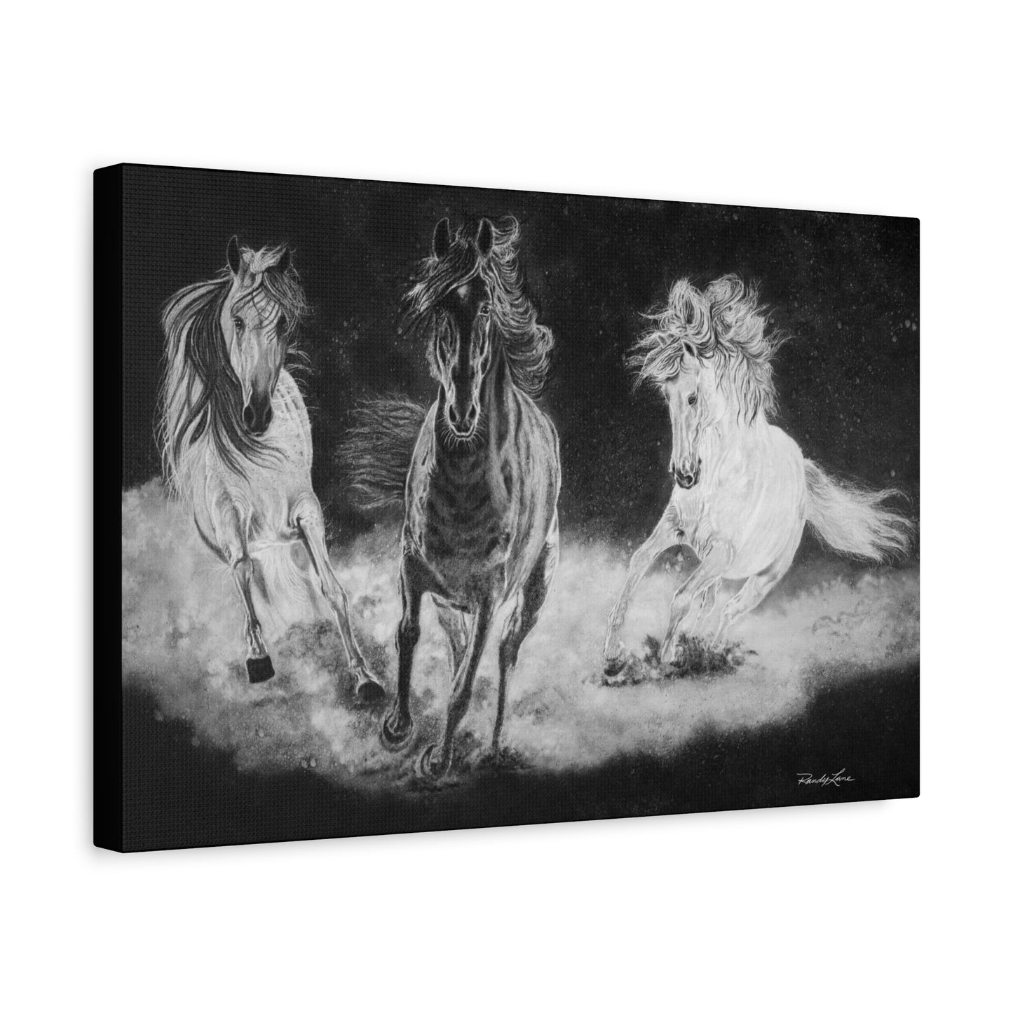 Midnight Run. Stretched Matte Canvas Fine Art Horse Prints