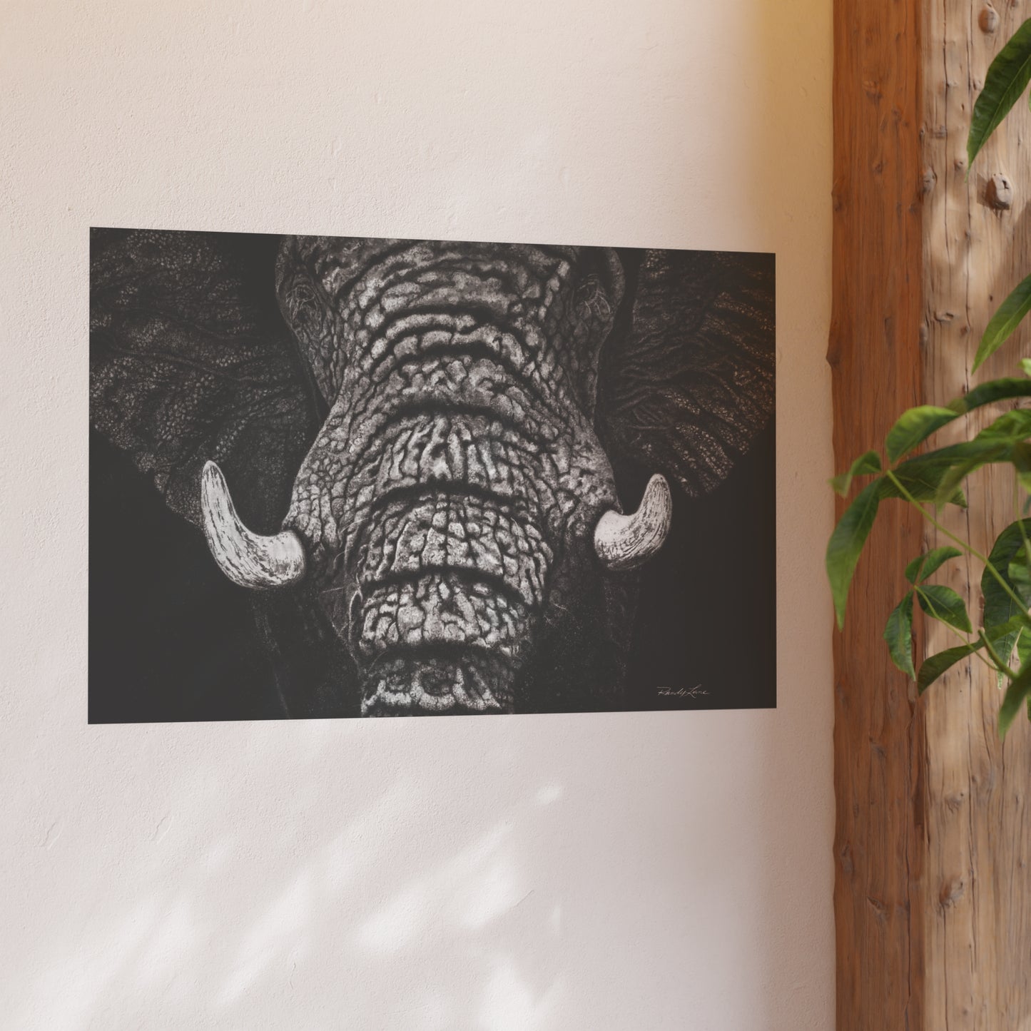 Ebony and Ivory, Elephant Portrait Fine Art Print (Satin/Archival Matte)