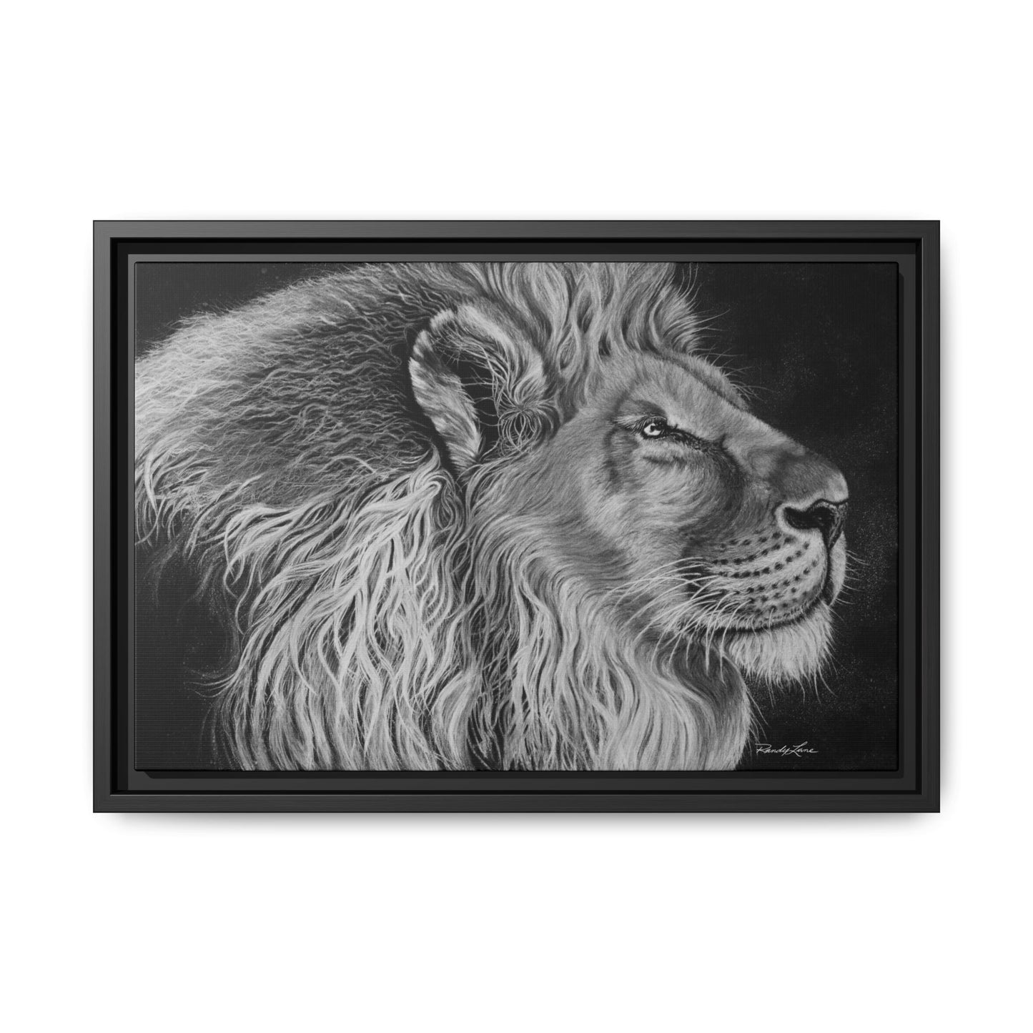 King of Cool, Majestic Lion Framed Canvas Art