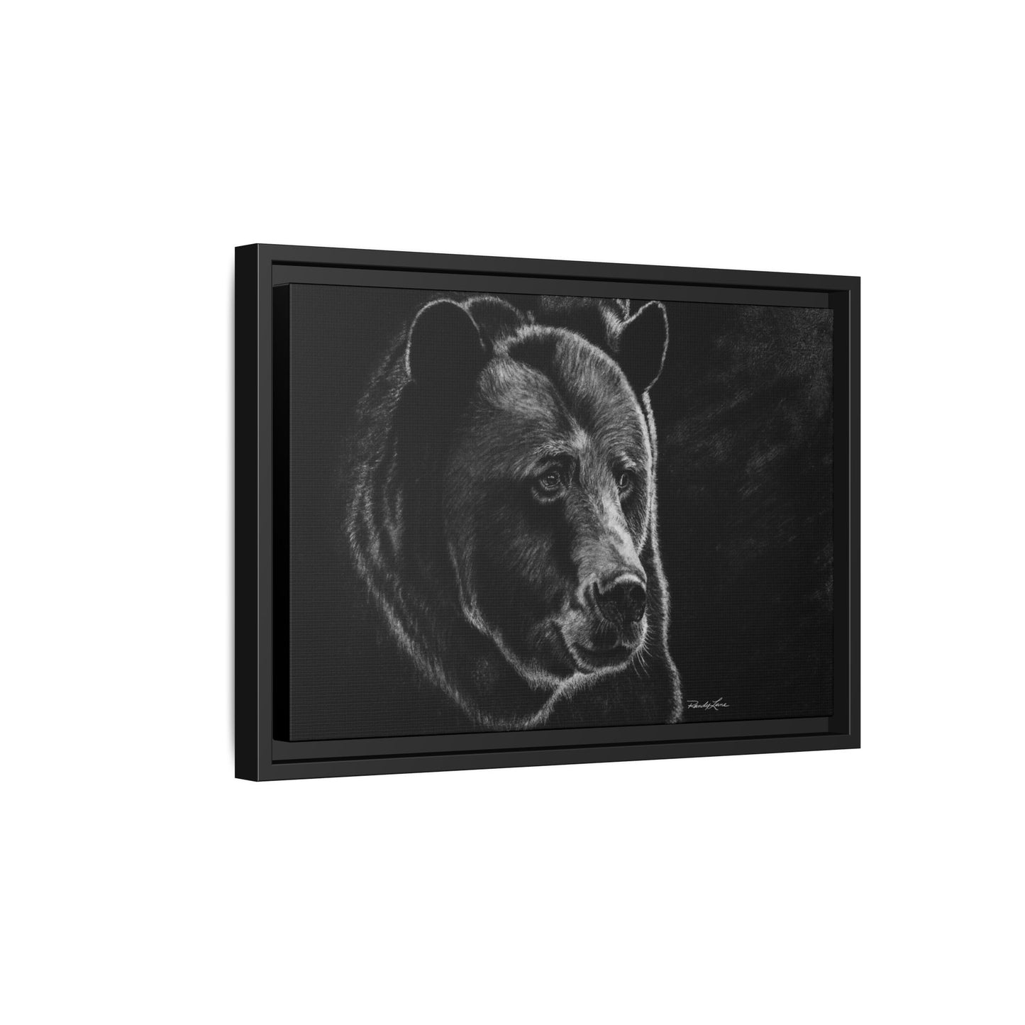 Dominance, Bear Portrait Stretched Framed Matte Canvas Print