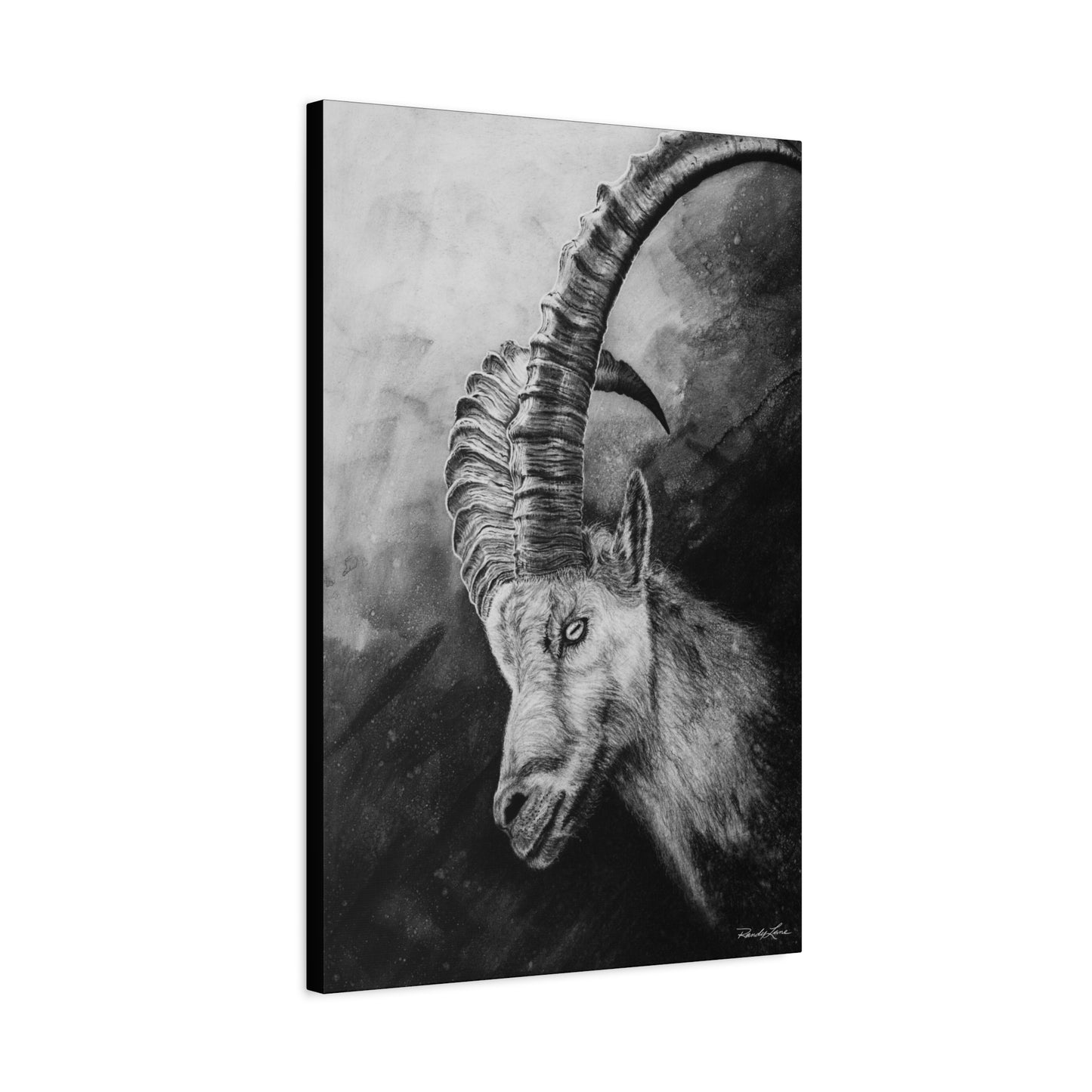 Apex, Alpine Mountain Goat Canvas Art, Stretched Wall Decor