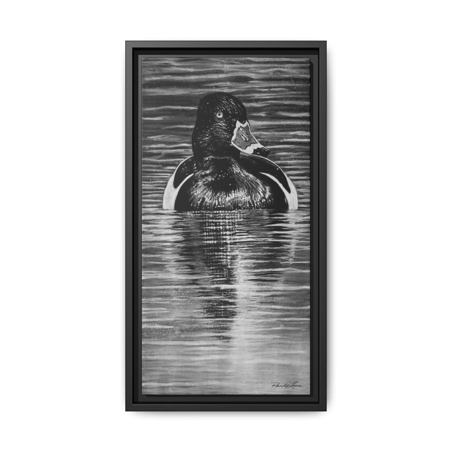 Reflection, Ring necked Duck Painting, Framed Stretched Matte Canvas