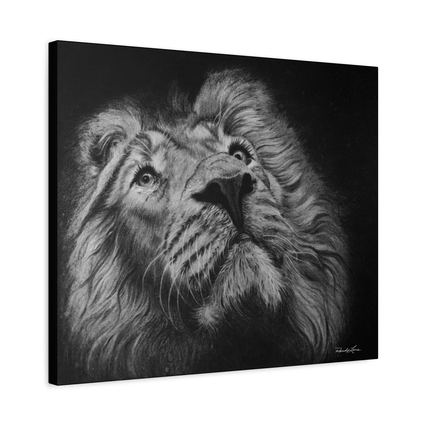 Renown, Majestic Lion Canvas Print