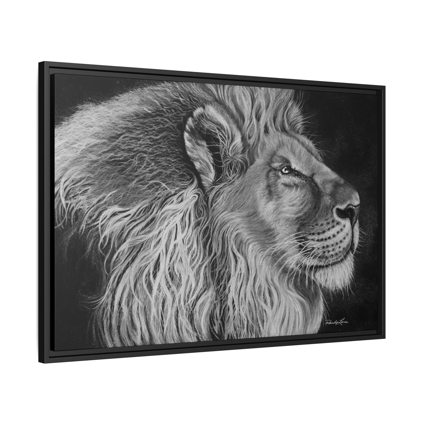 King of Cool, Majestic Lion Framed Canvas Art
