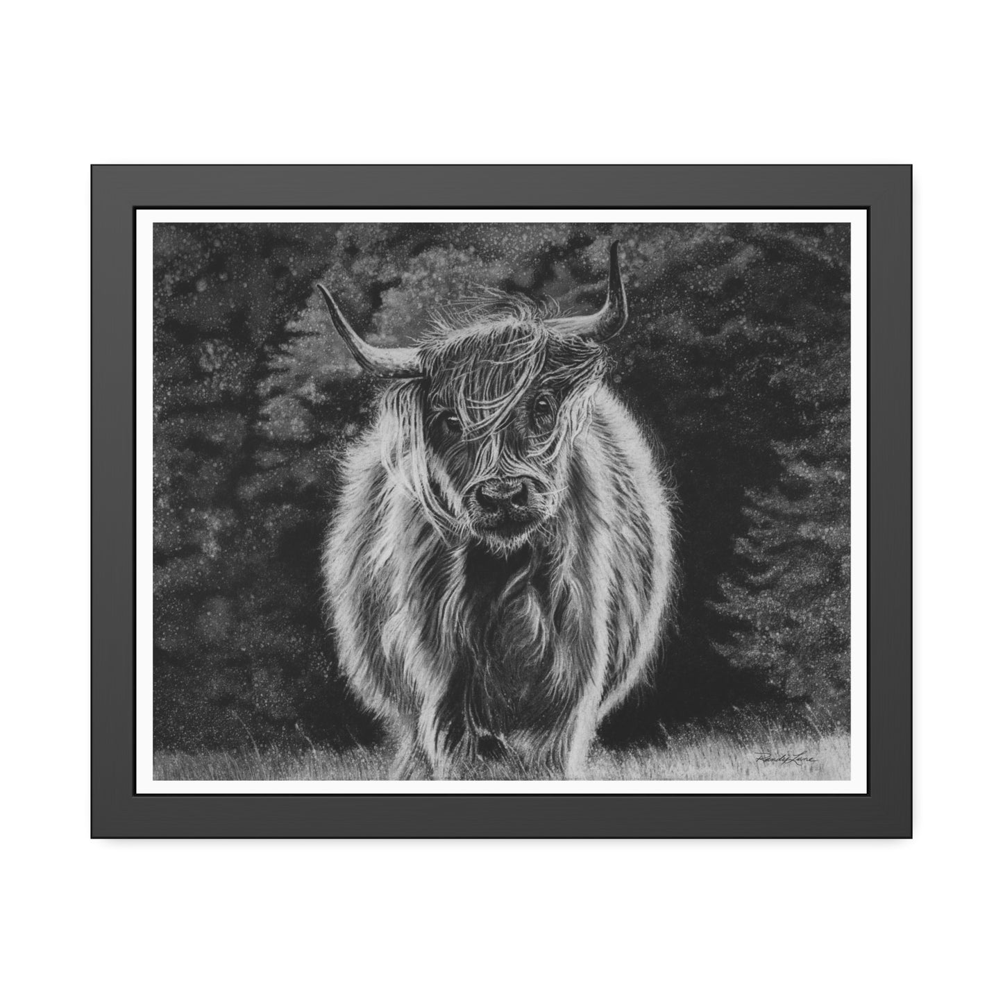 Ragamuffin. Highland Cow Framed Fine Art Print