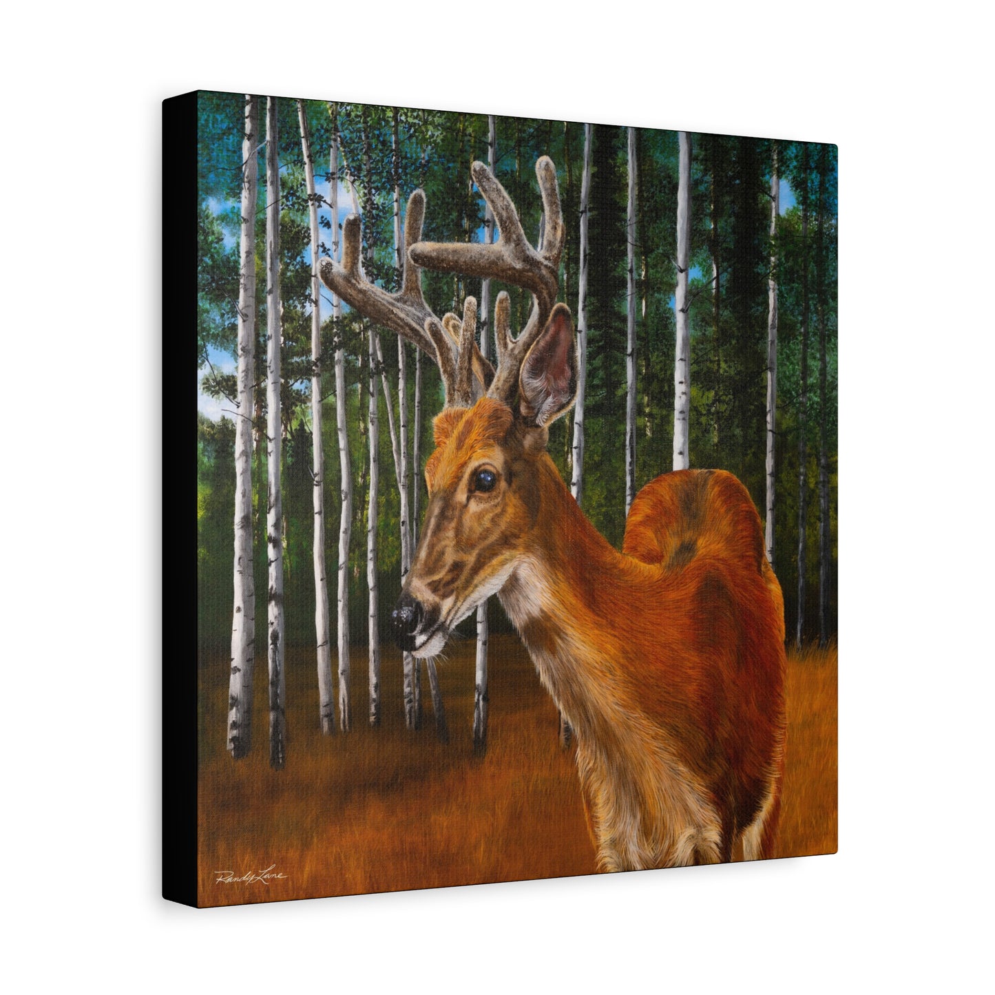 Velvet Crush,  Deer Canvas Wall Art