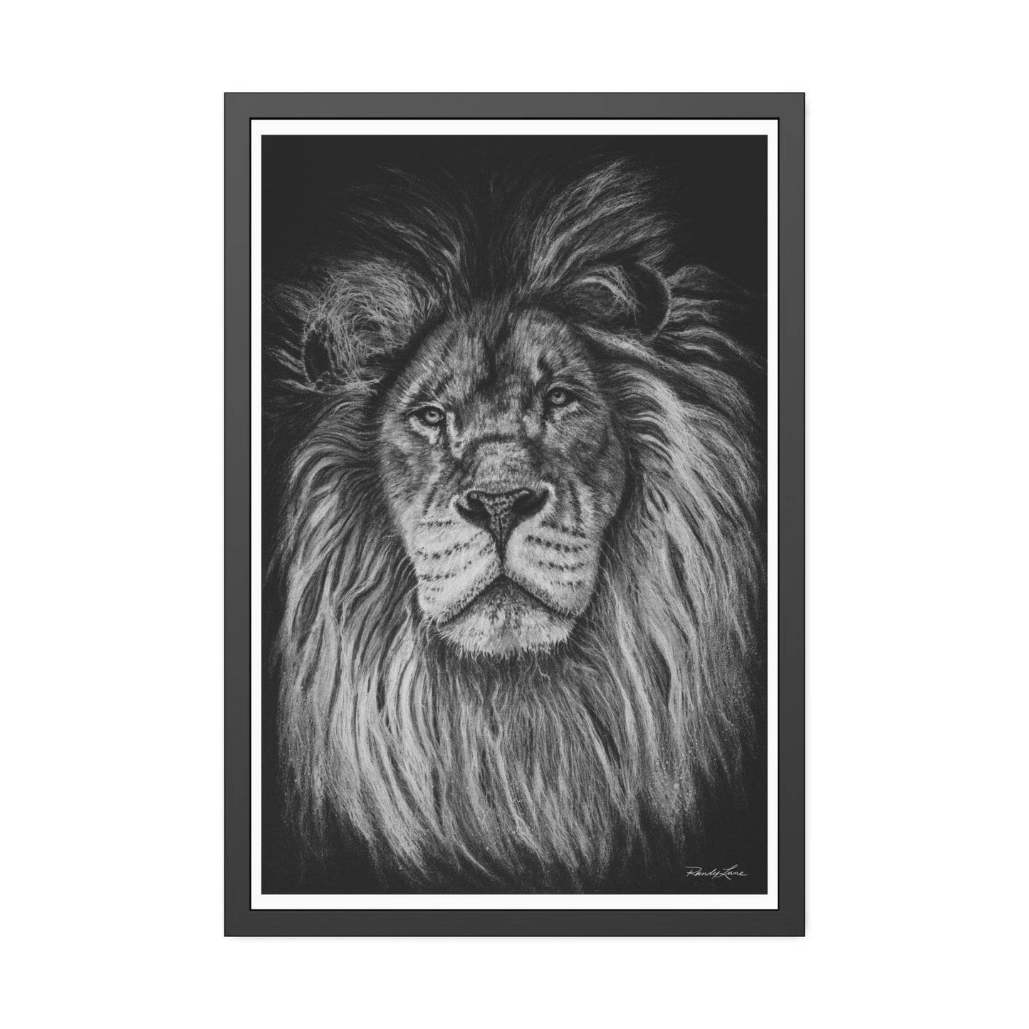 The Mane Event, Framed Fine Art Lion Prints