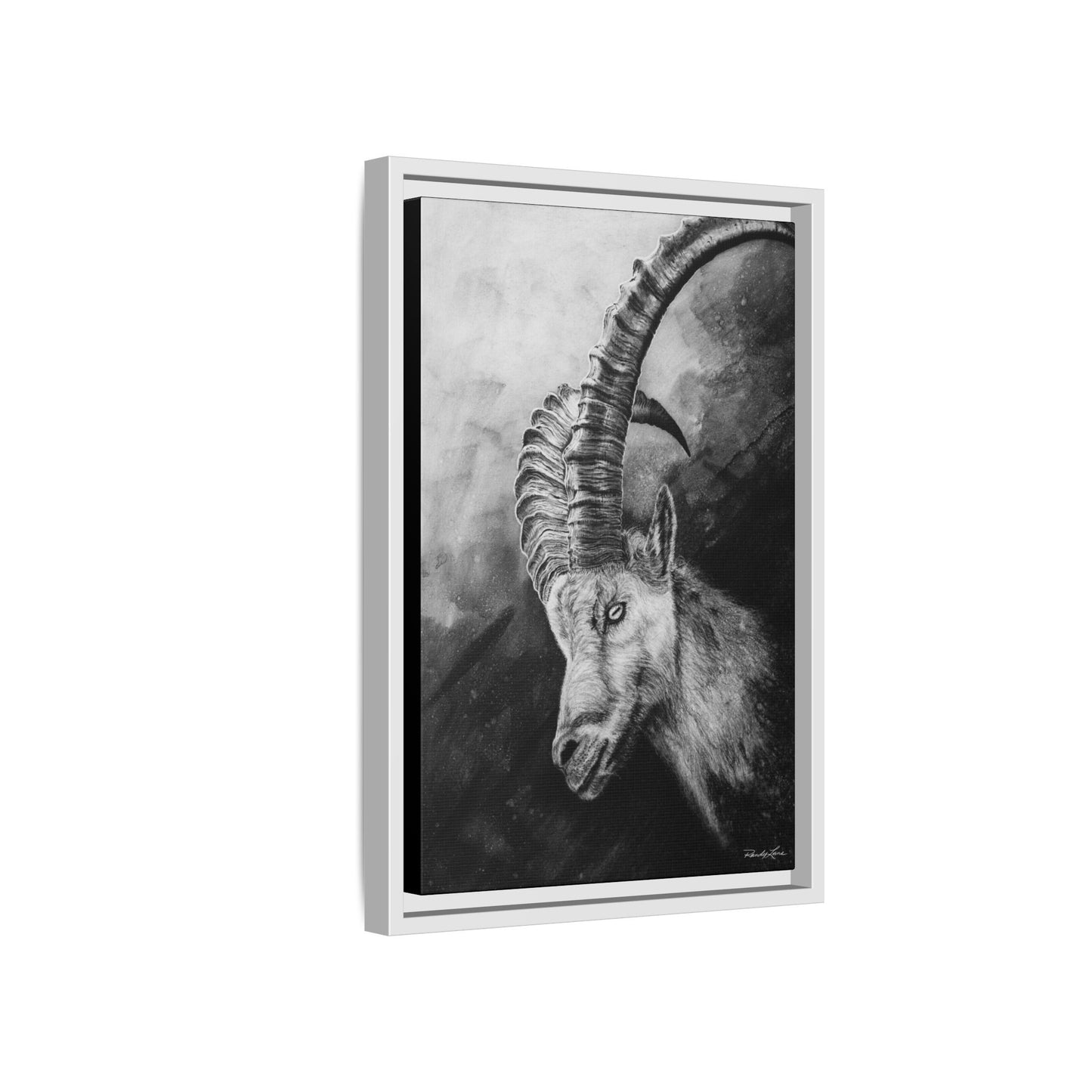 Apex,  Alpine Mountain Goat, Framed Matte Canvas Art Print,