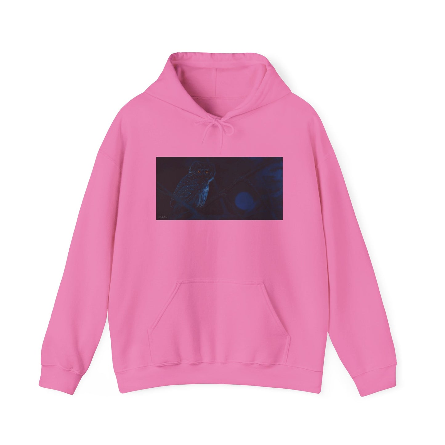 Bright Eyes, Owl print Cozy Unisex Hooded Sweatshirt
