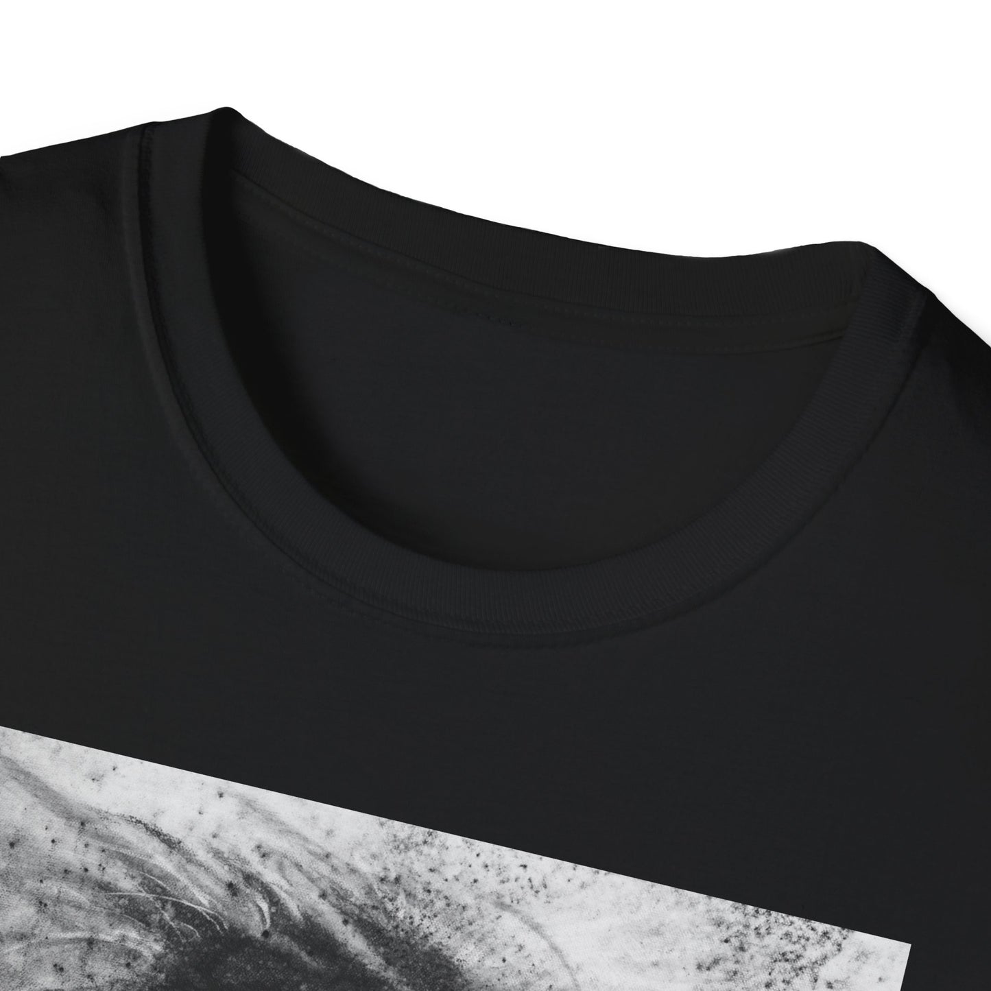 Let the Lion Roar, Lion Graphic Tee, Unisex T-Shirt
