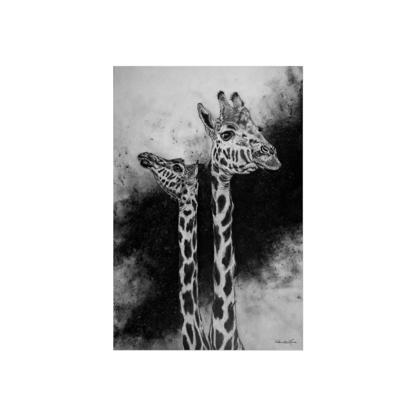 Grace in the Grasslands, Fine Art Giraffe Prints