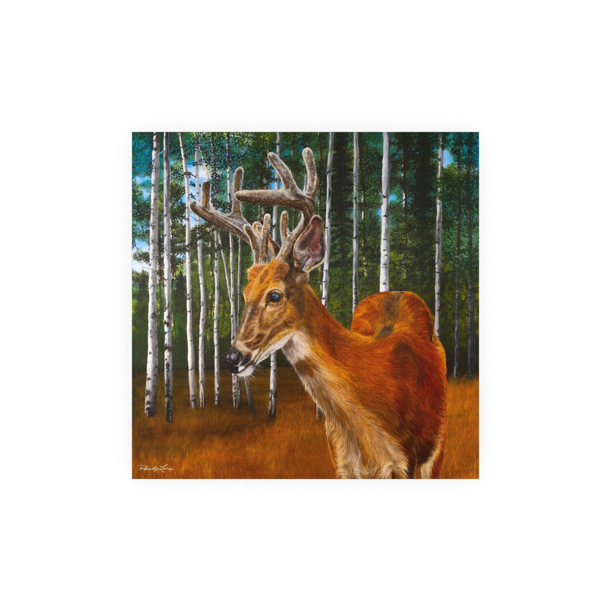 Velvet Crush, Deer in Aspen Forest Fine Art Print —  Satin/Matte