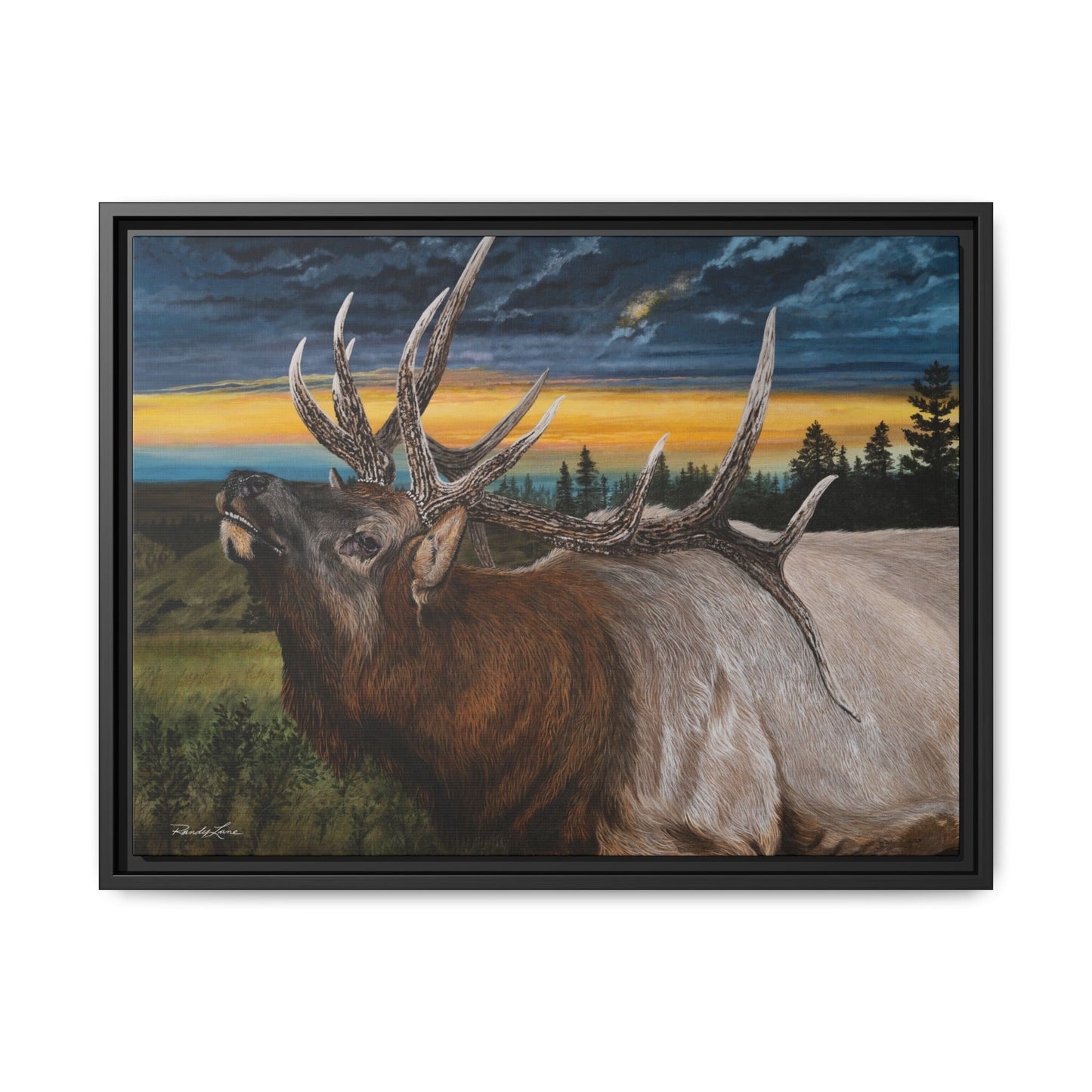 Sunset Serenade,  Elk Framed Matte Canvas Print
