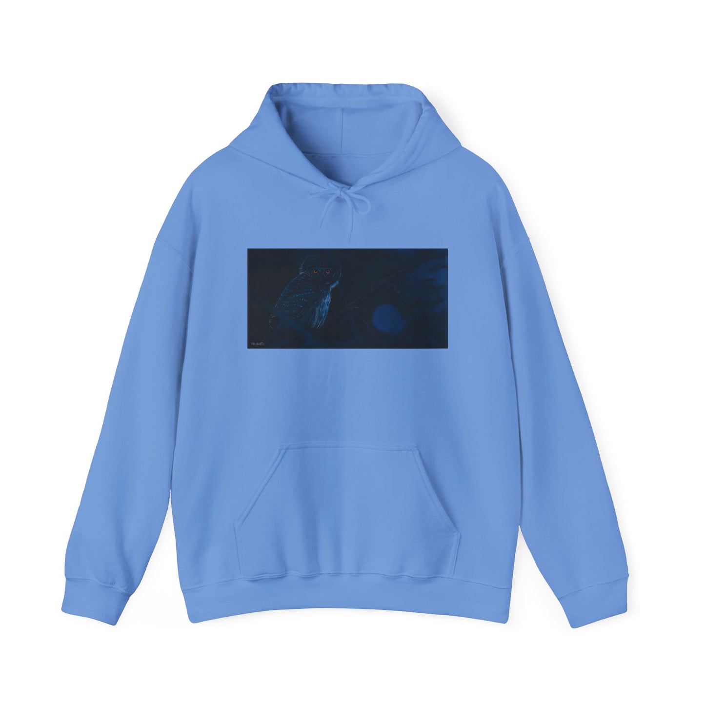 Bright Eyes, Owl print Cozy Unisex Hooded Sweatshirt