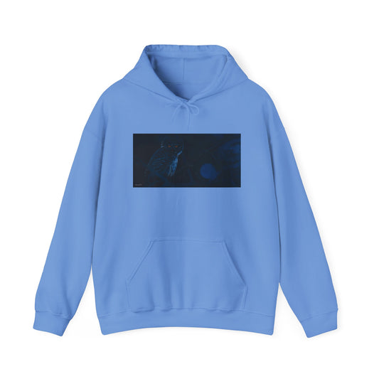 Bright Eyes, Owl print Cozy Unisex Hooded Sweatshirt