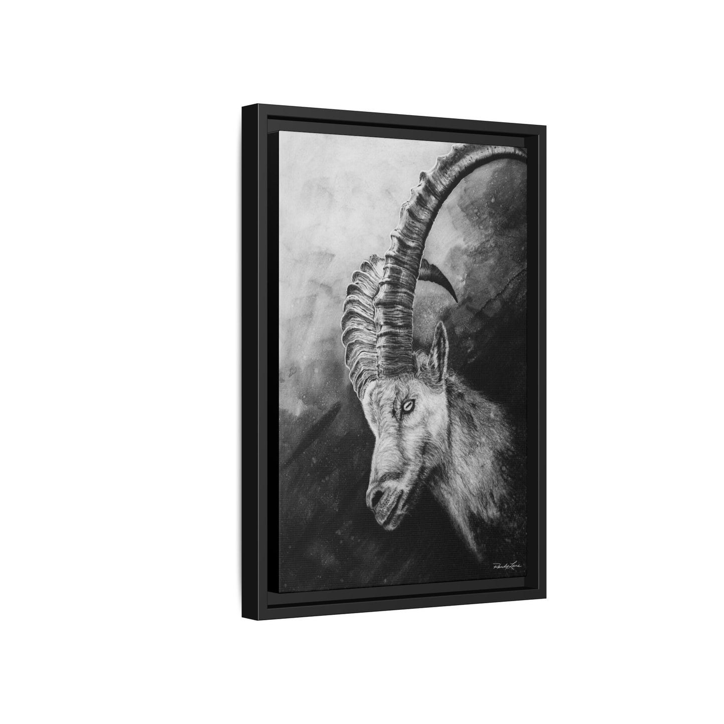 Apex,  Alpine Mountain Goat, Framed Matte Canvas Art Print,