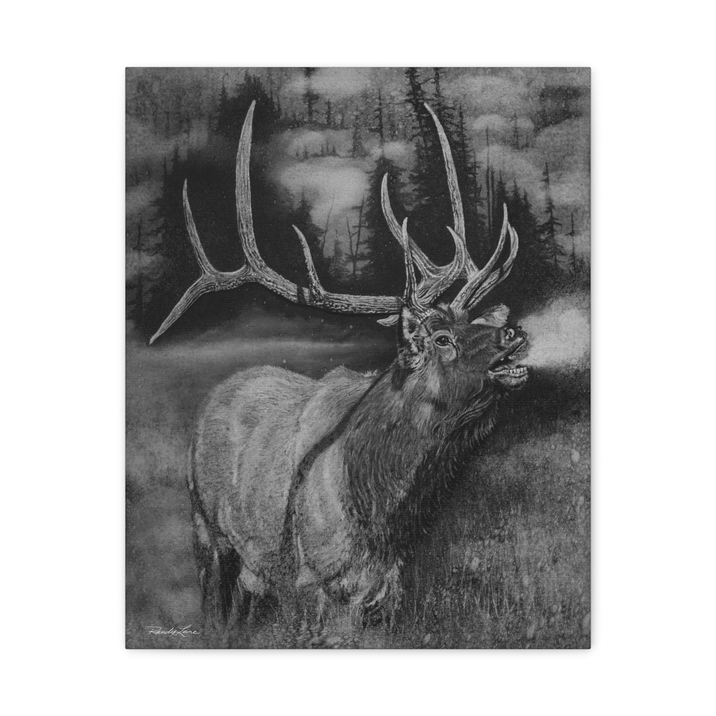 Mountain Music,  Elk Canvas Print