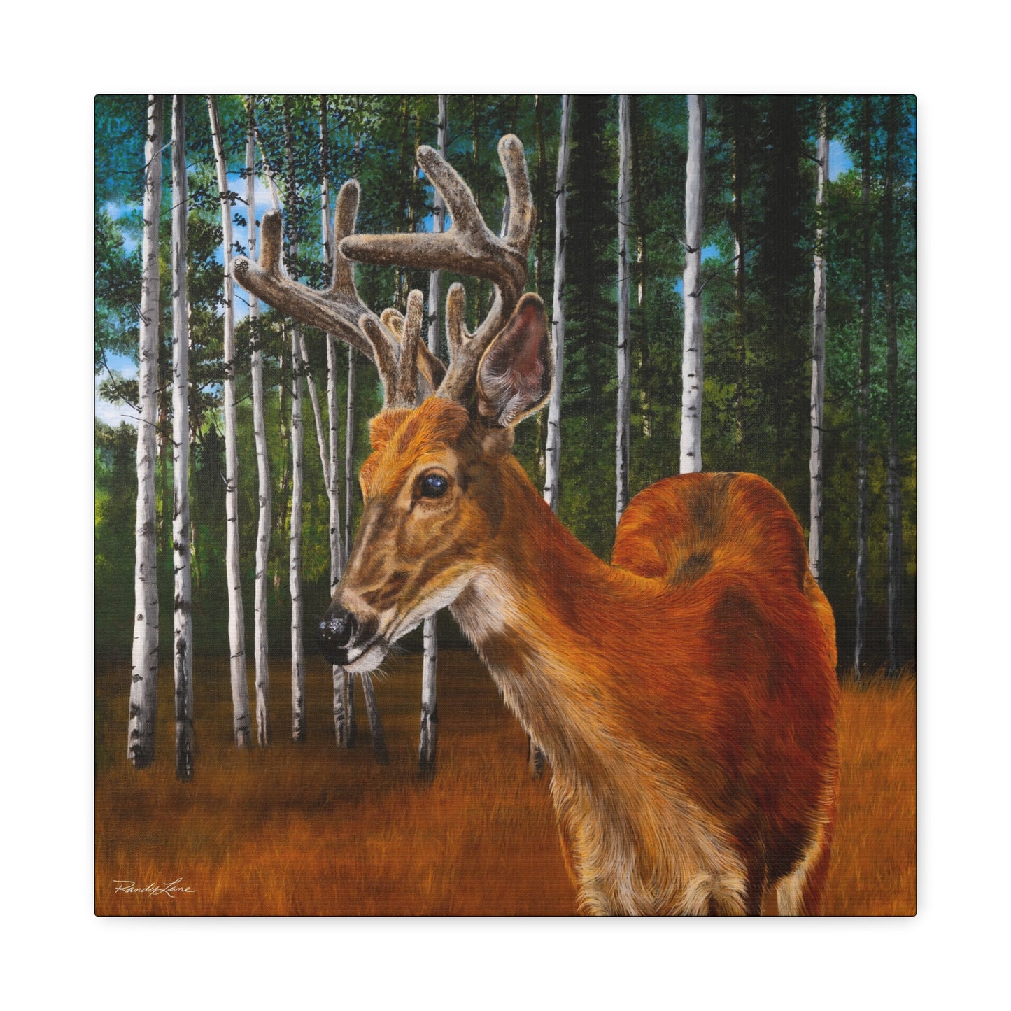 Velvet Crush,  Deer Canvas Wall Art
