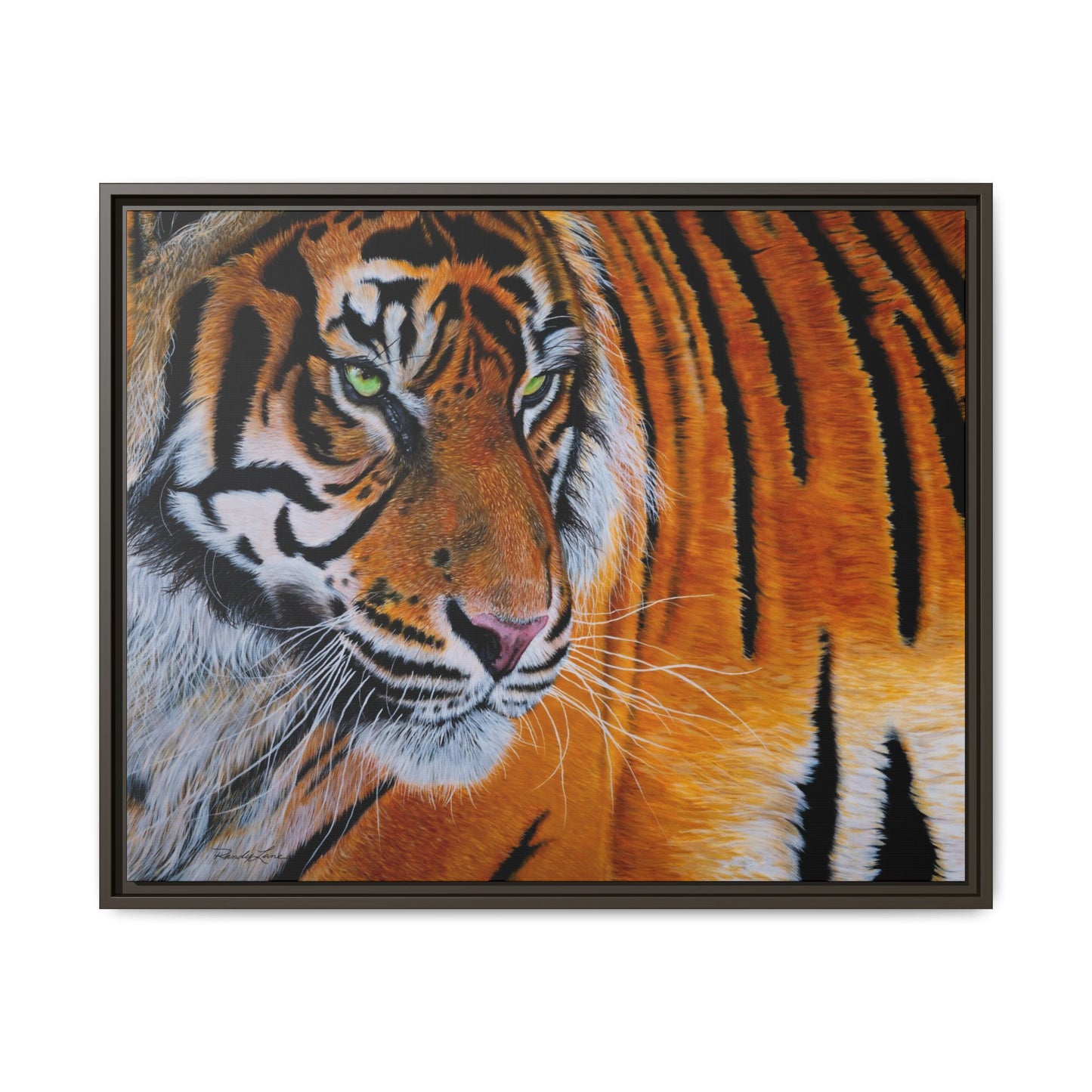Tiger Stripe, Framed Tiger Canvas Print